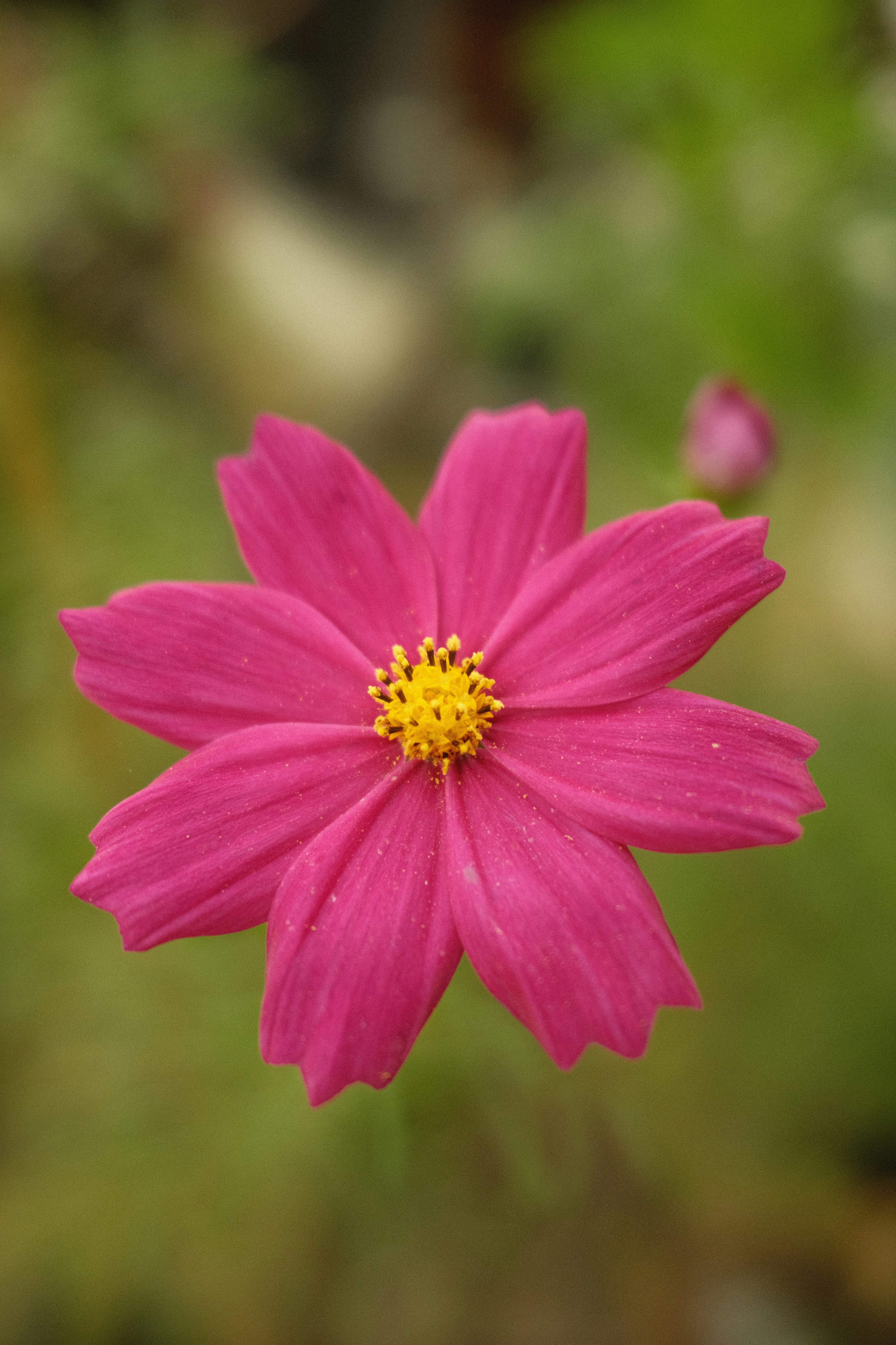 Photo by charlieoz999