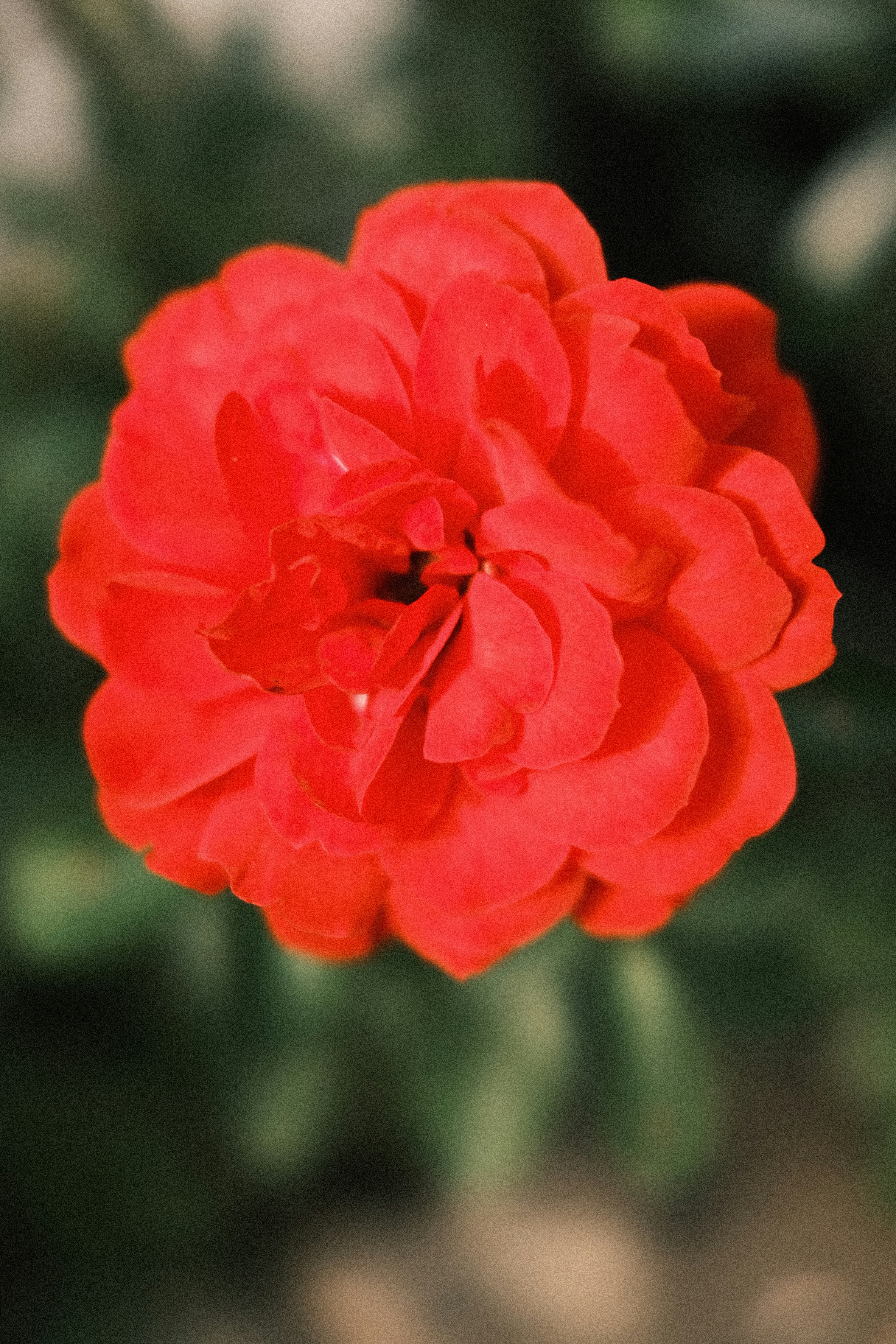 Photo by charlieoz999