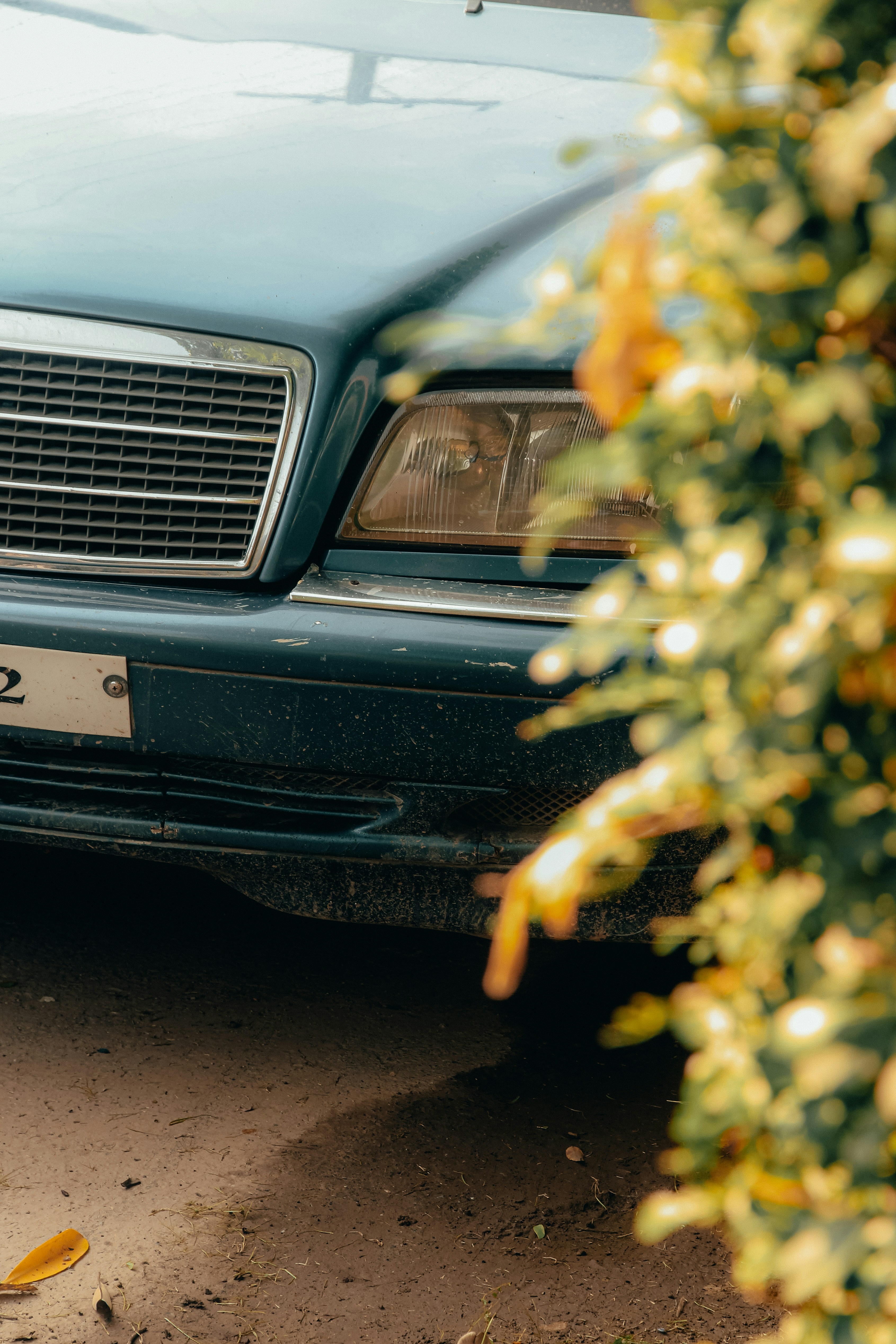 Photo by adeniftikhar