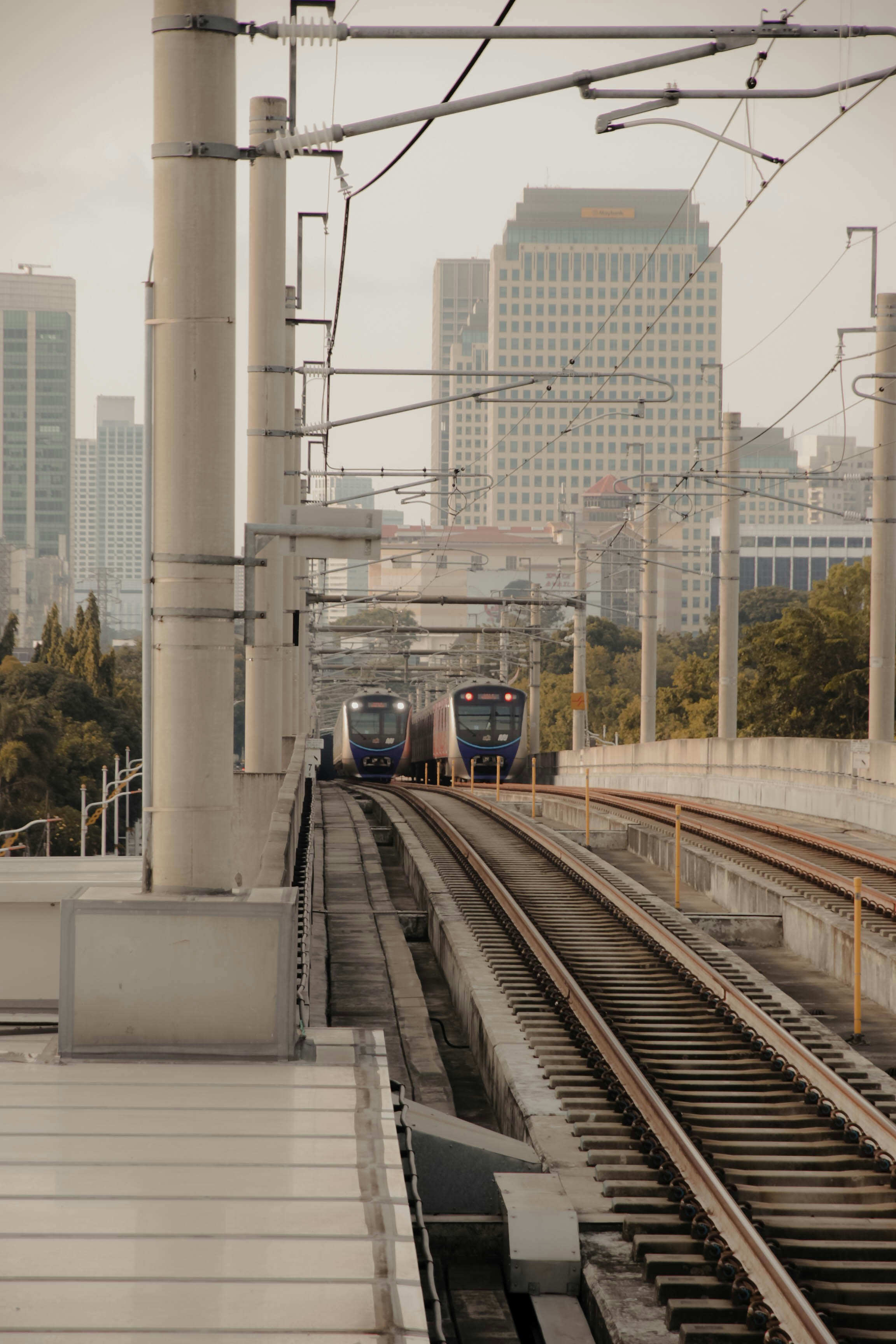 Photo by hadiantoraihan