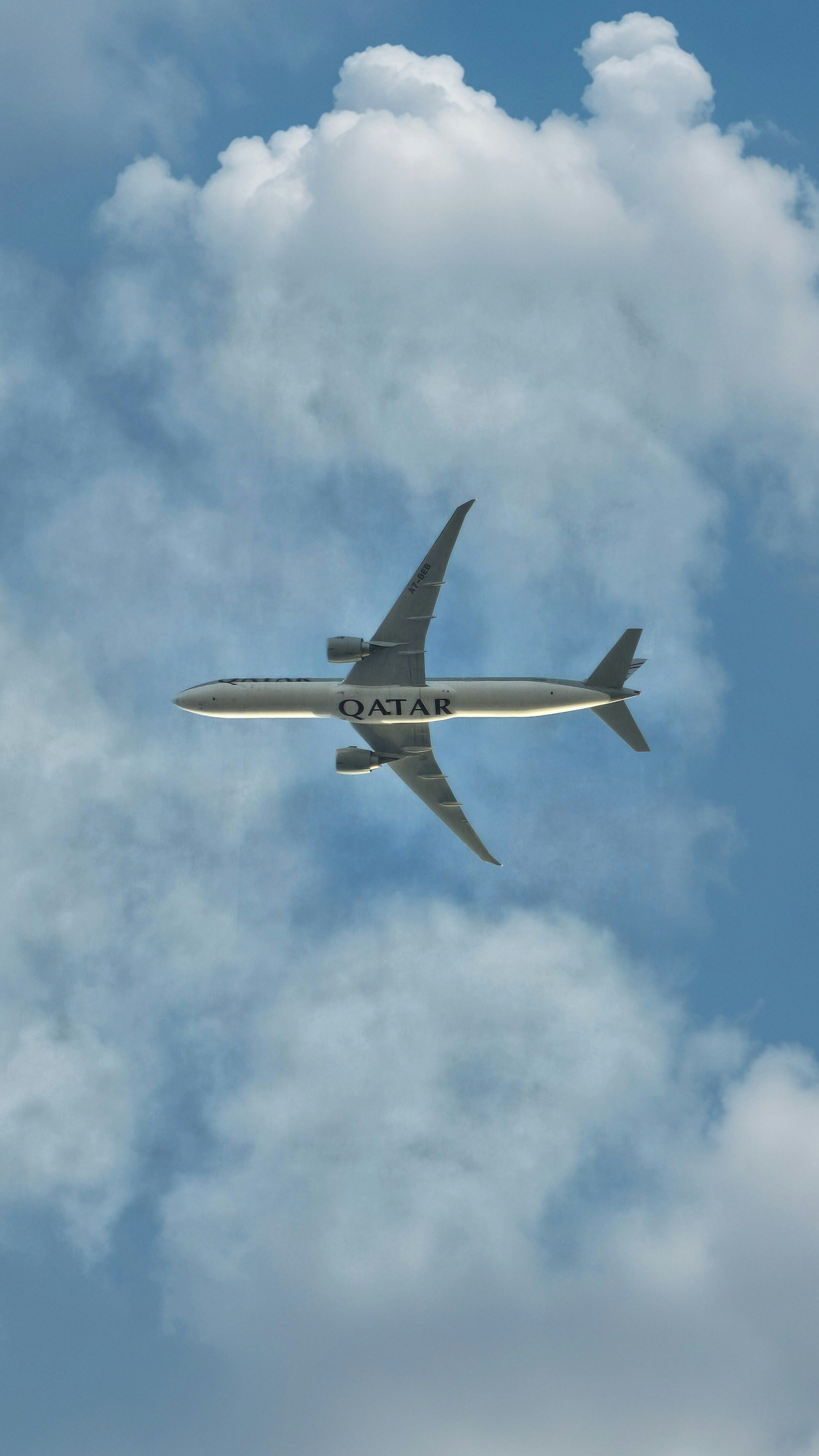 A plane flying through a cloudy blue sky photo – Free Animal Image on ...