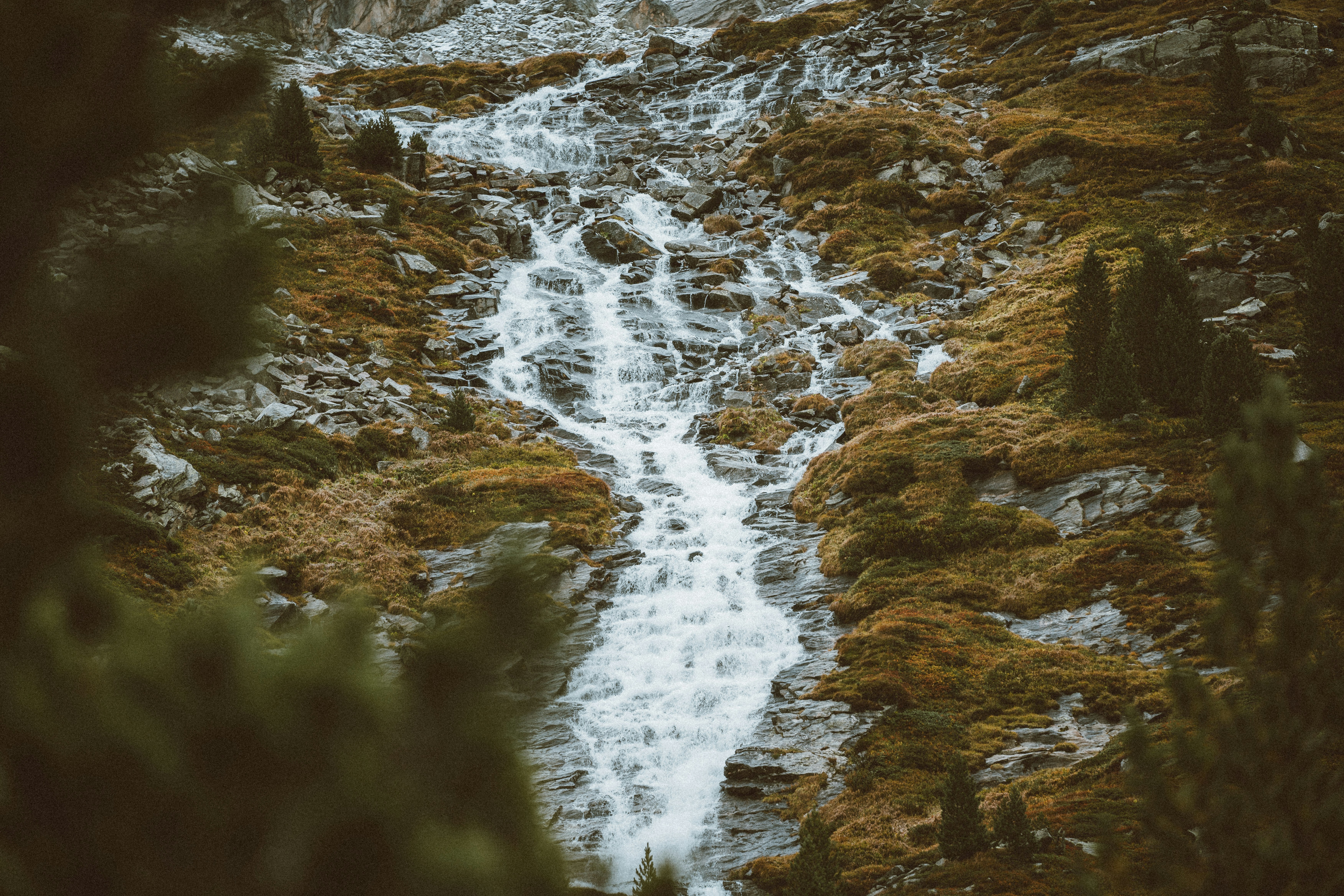 Photo by omarvellous14