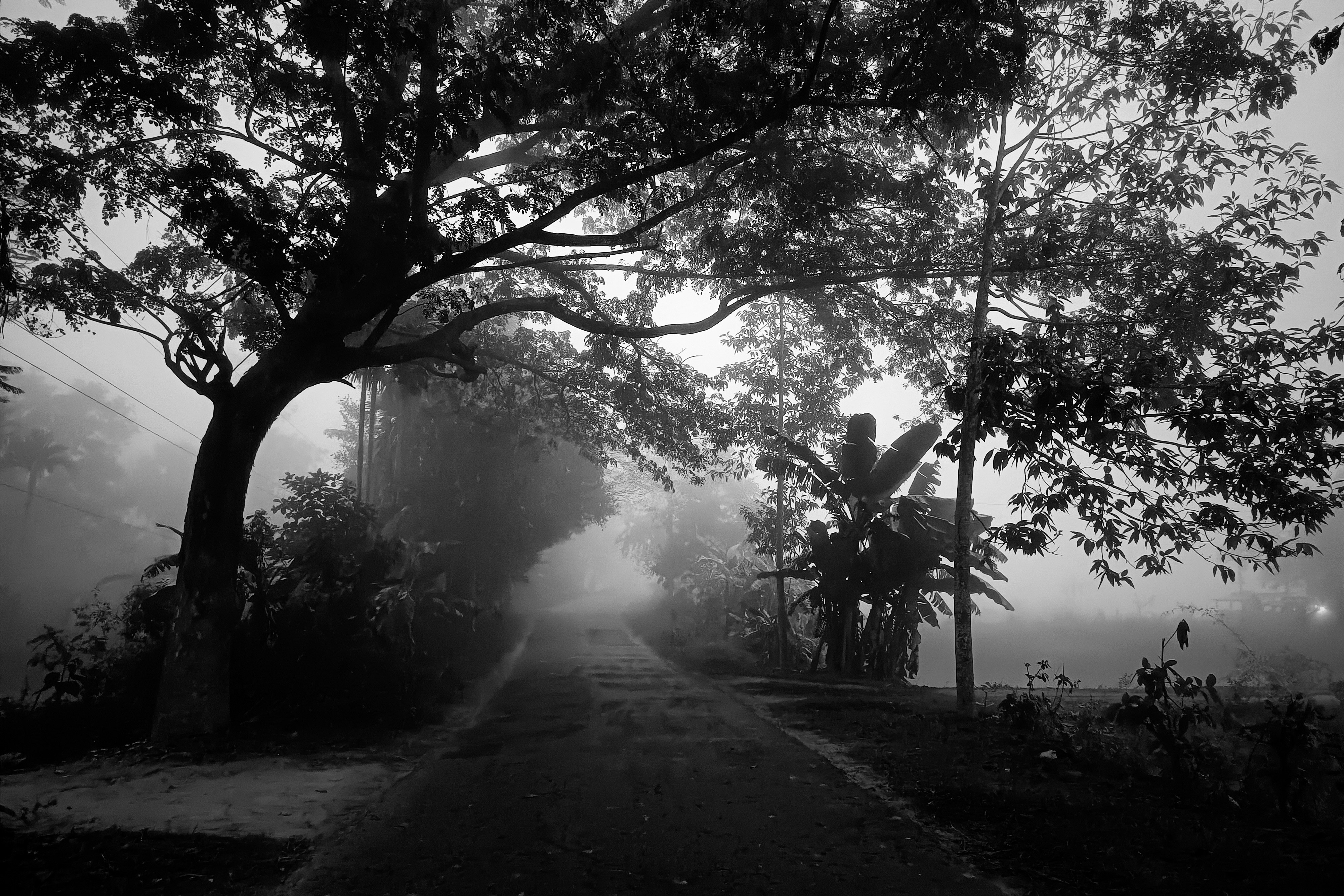 Photo by souravdnath1