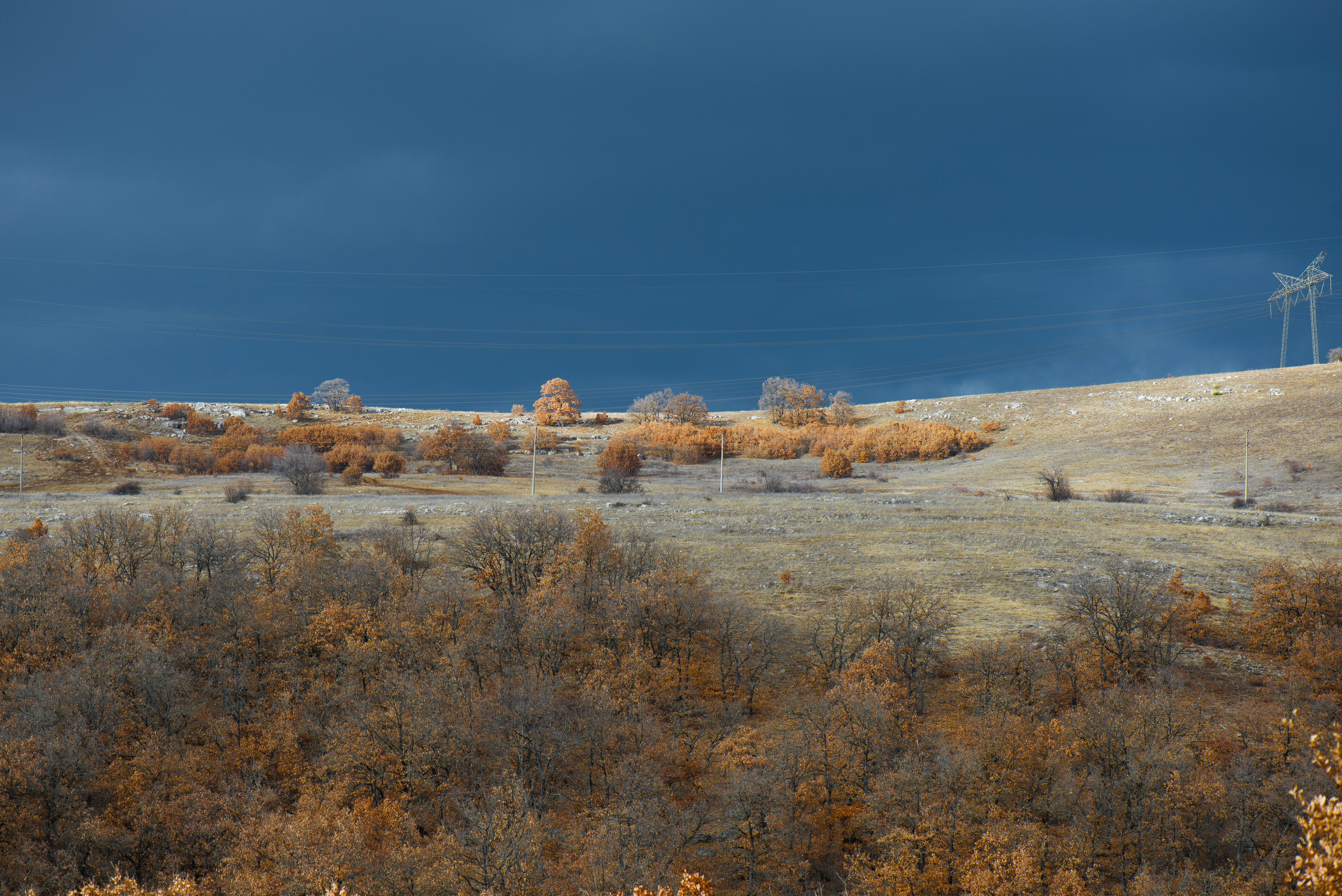 Photo by sofizz