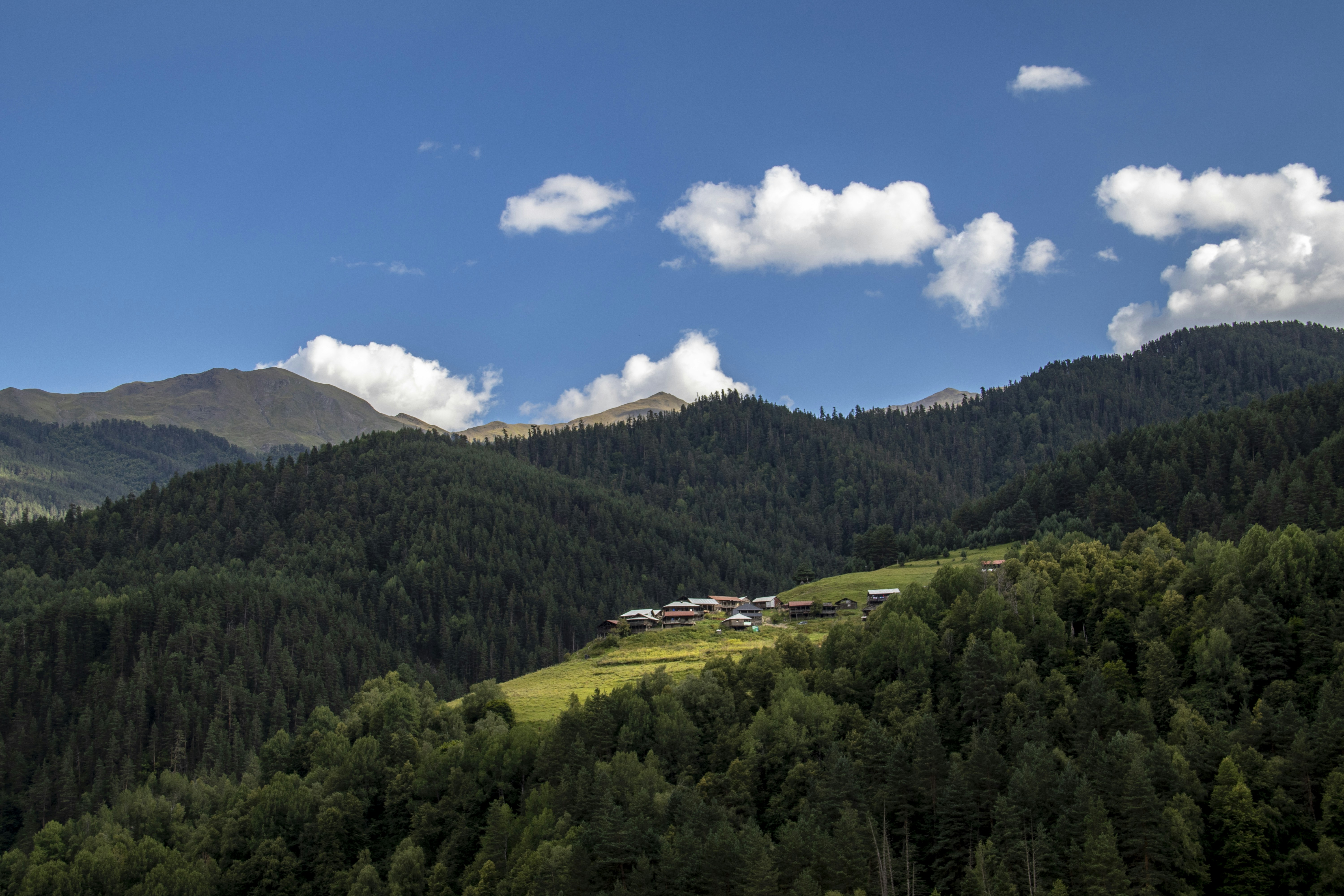 Photo by alexanderkez