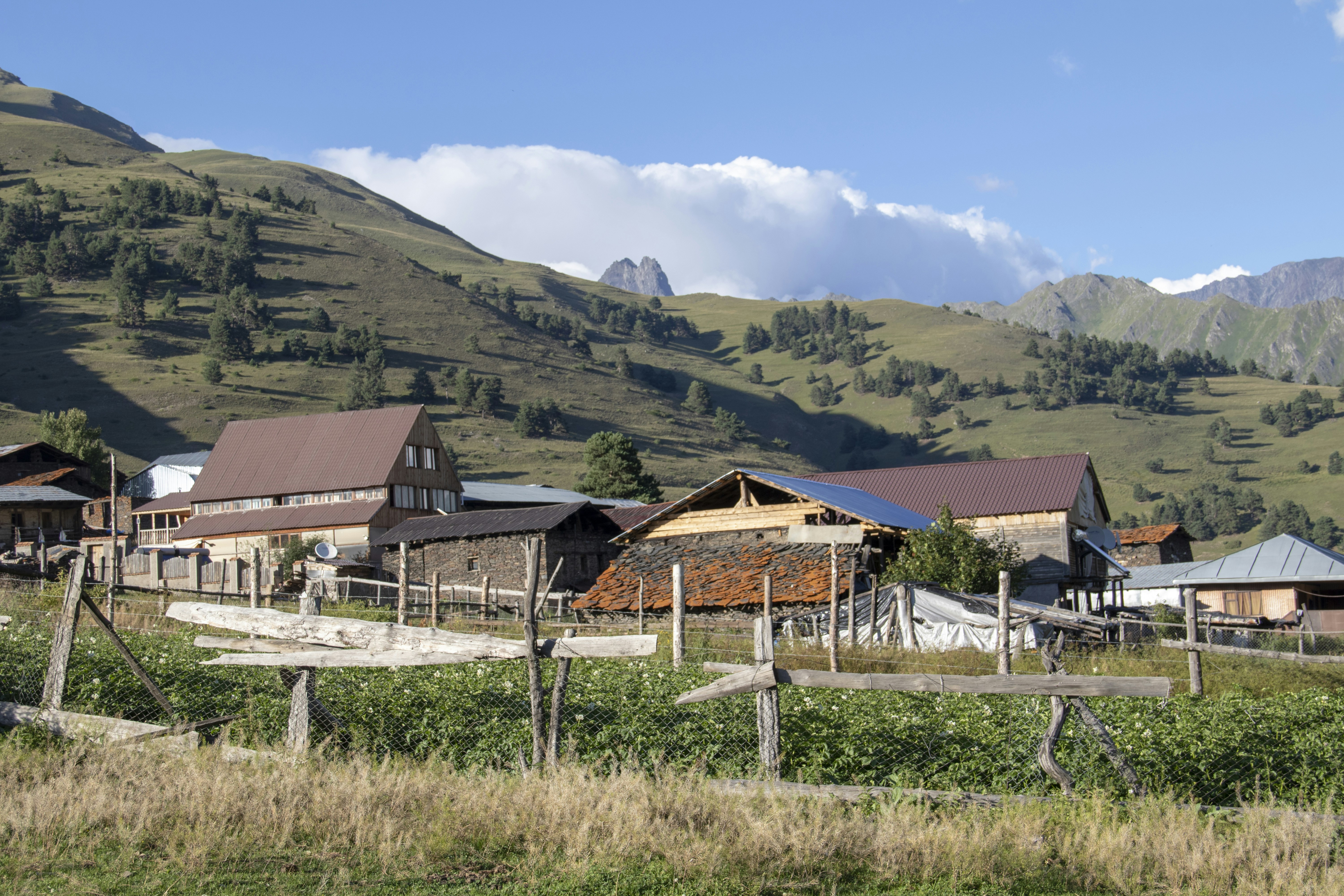 Door-to-door ride from Tbilisi to Dartlo