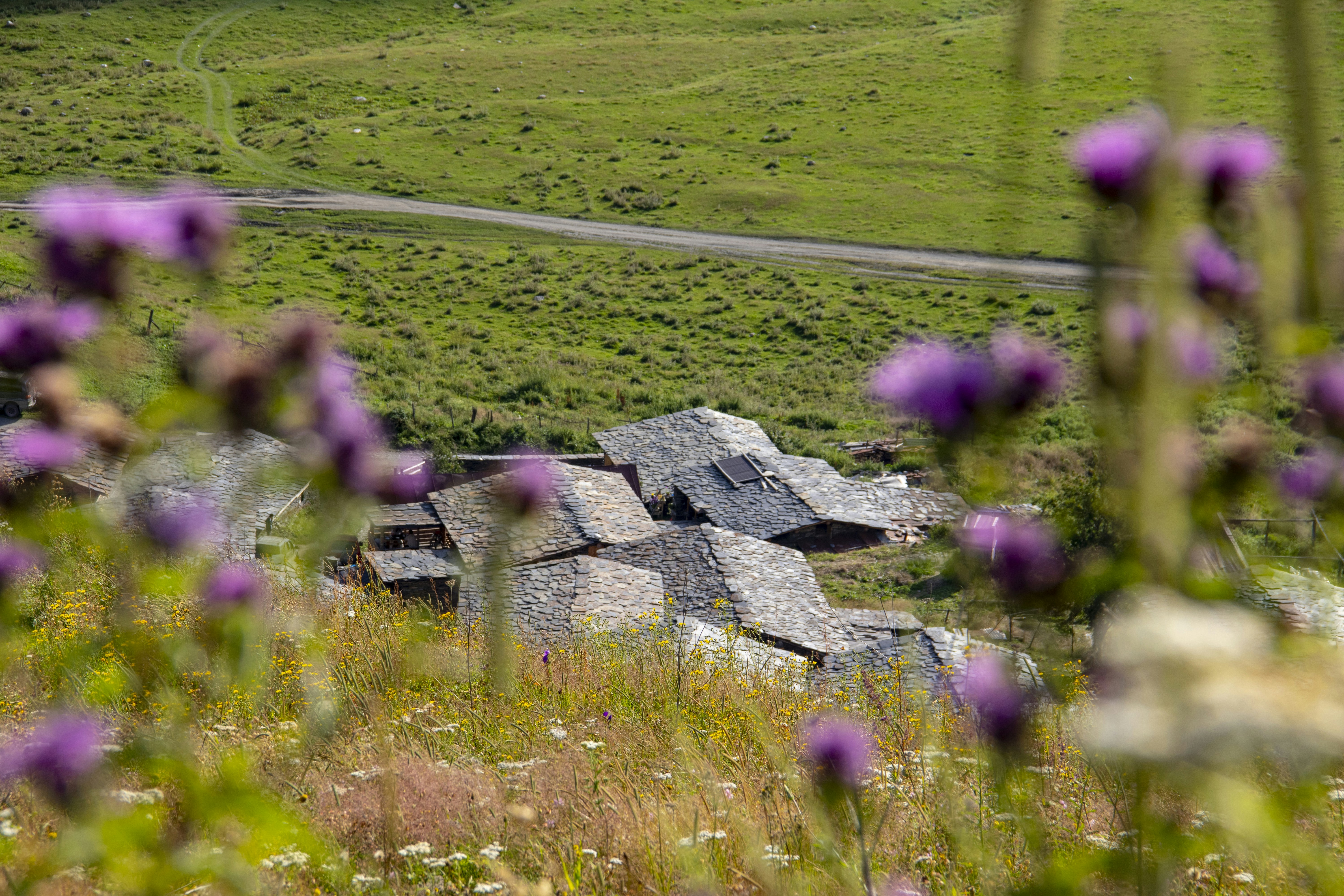 Photo by alexanderkez