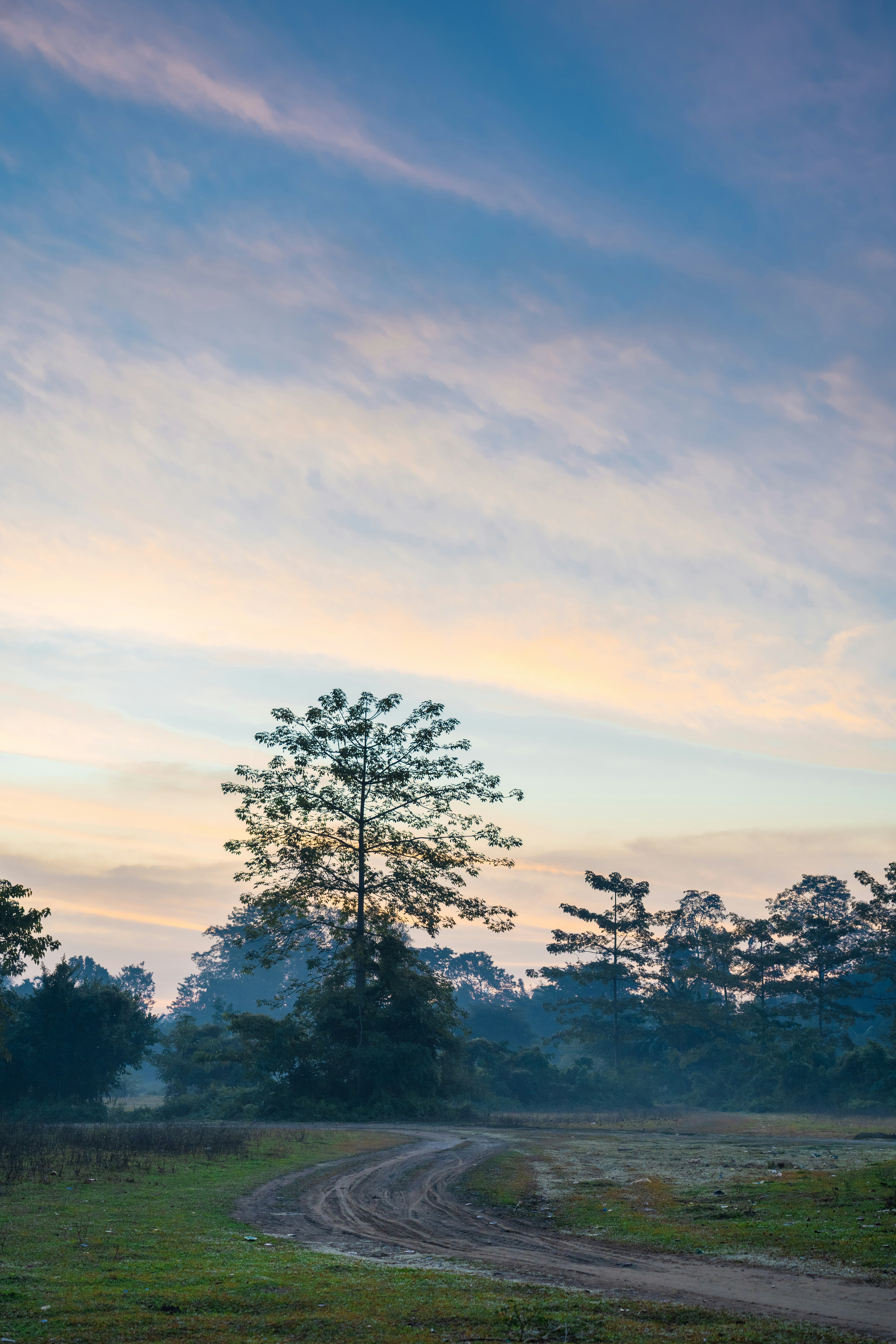 Photo by ravisangar46