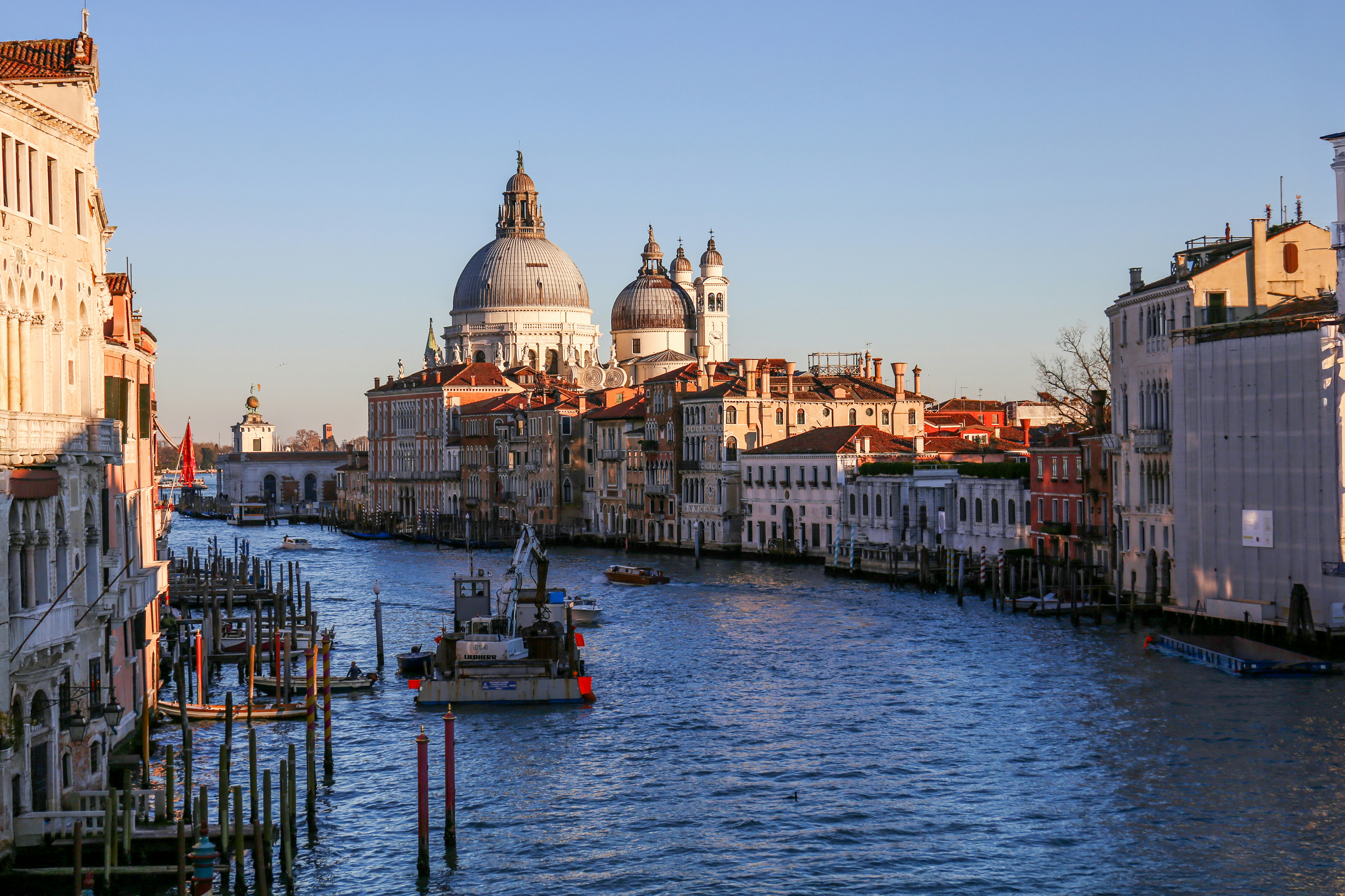 Photo by ardalanaameli