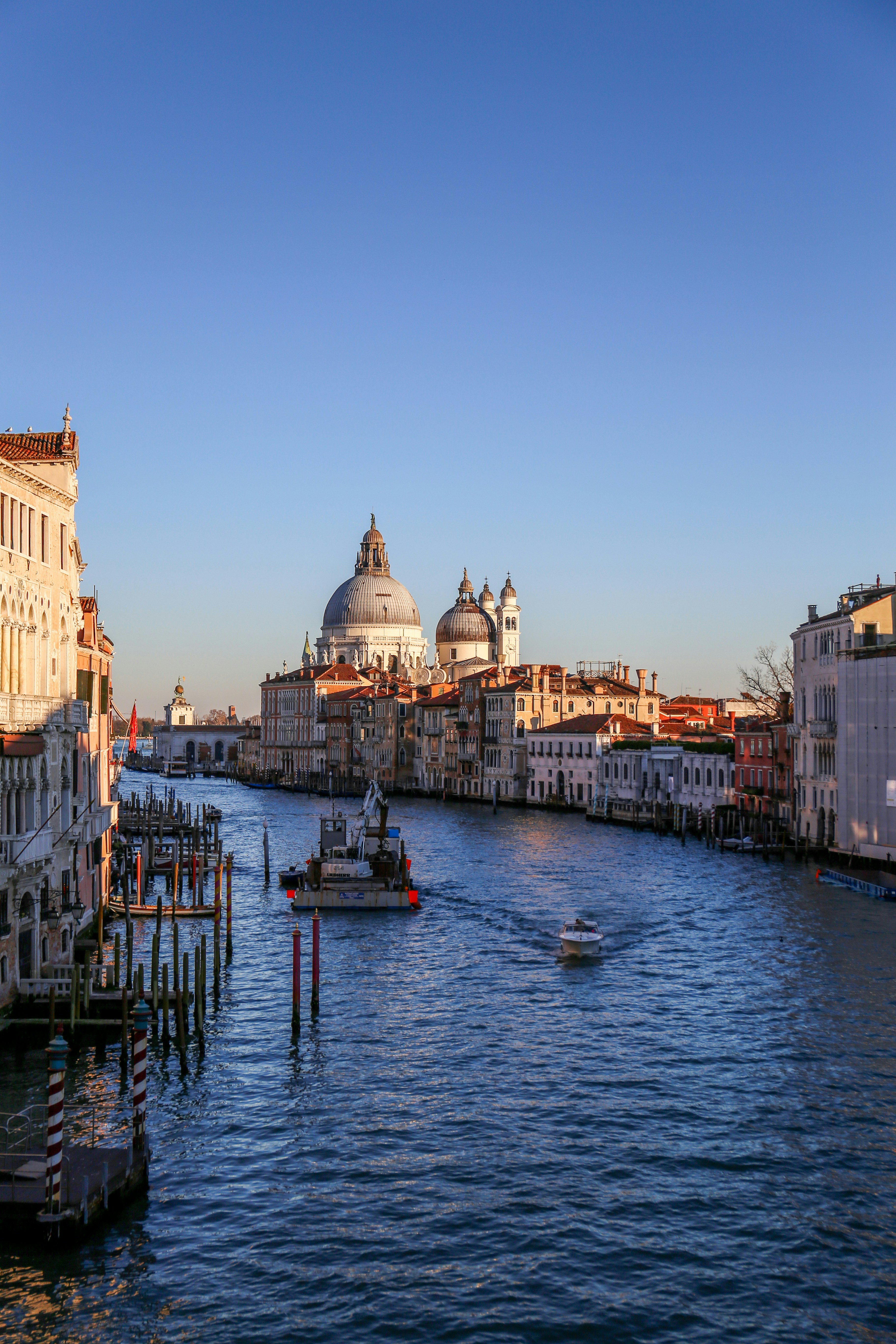 Photo by ardalanaameli