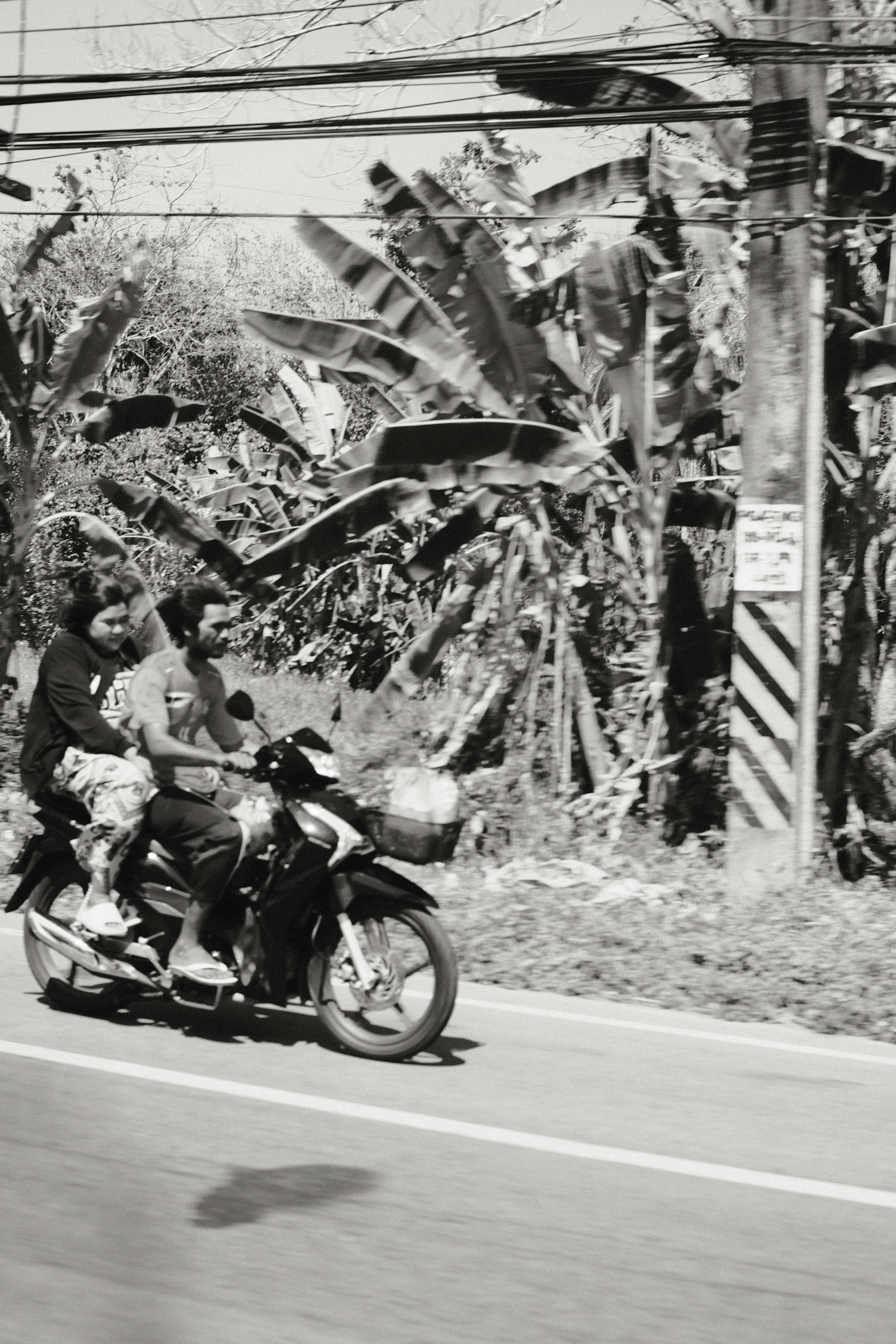 Photo by koshachiy_vizg