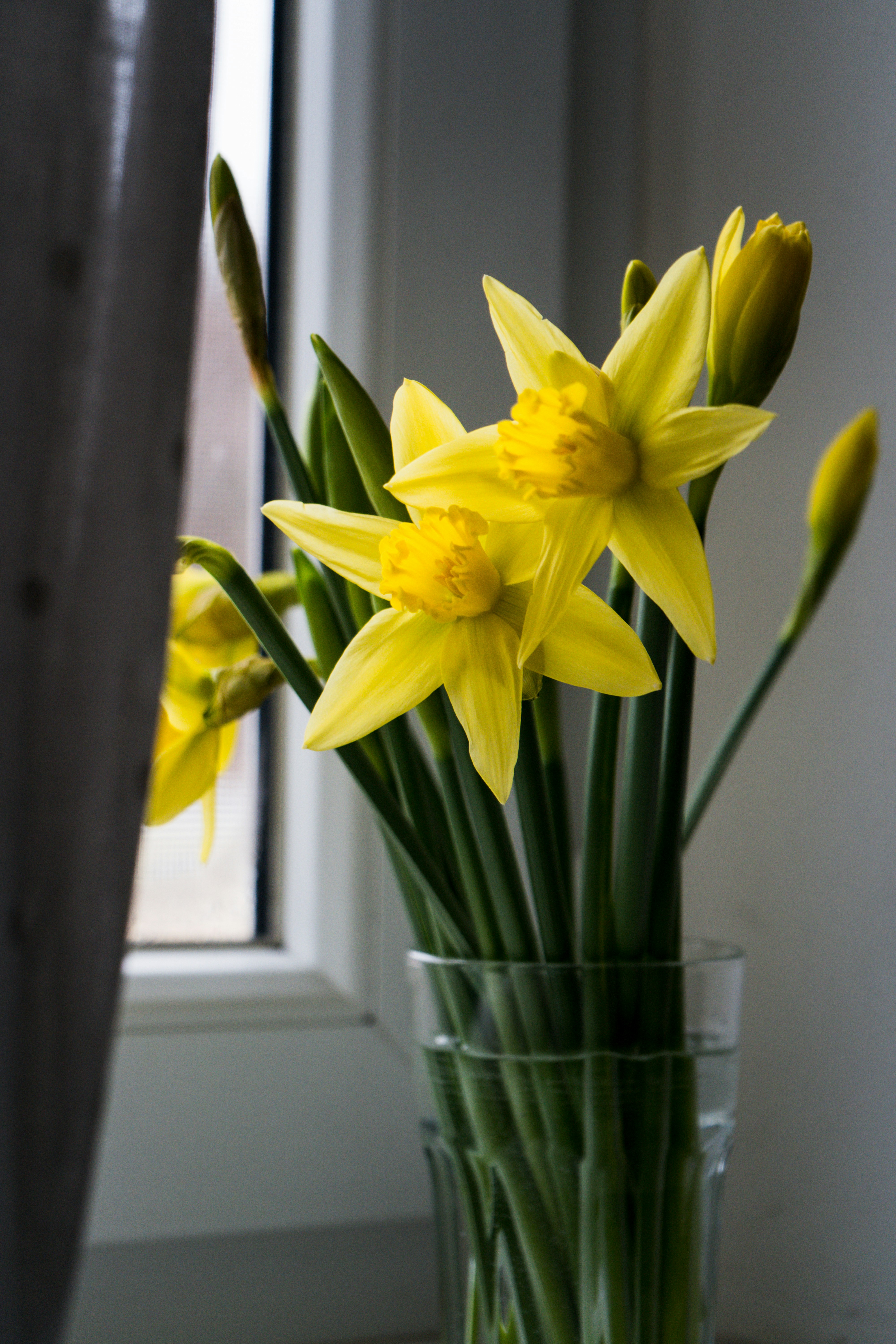 Eine Vase mit gelben Blumen neben einem Fenster