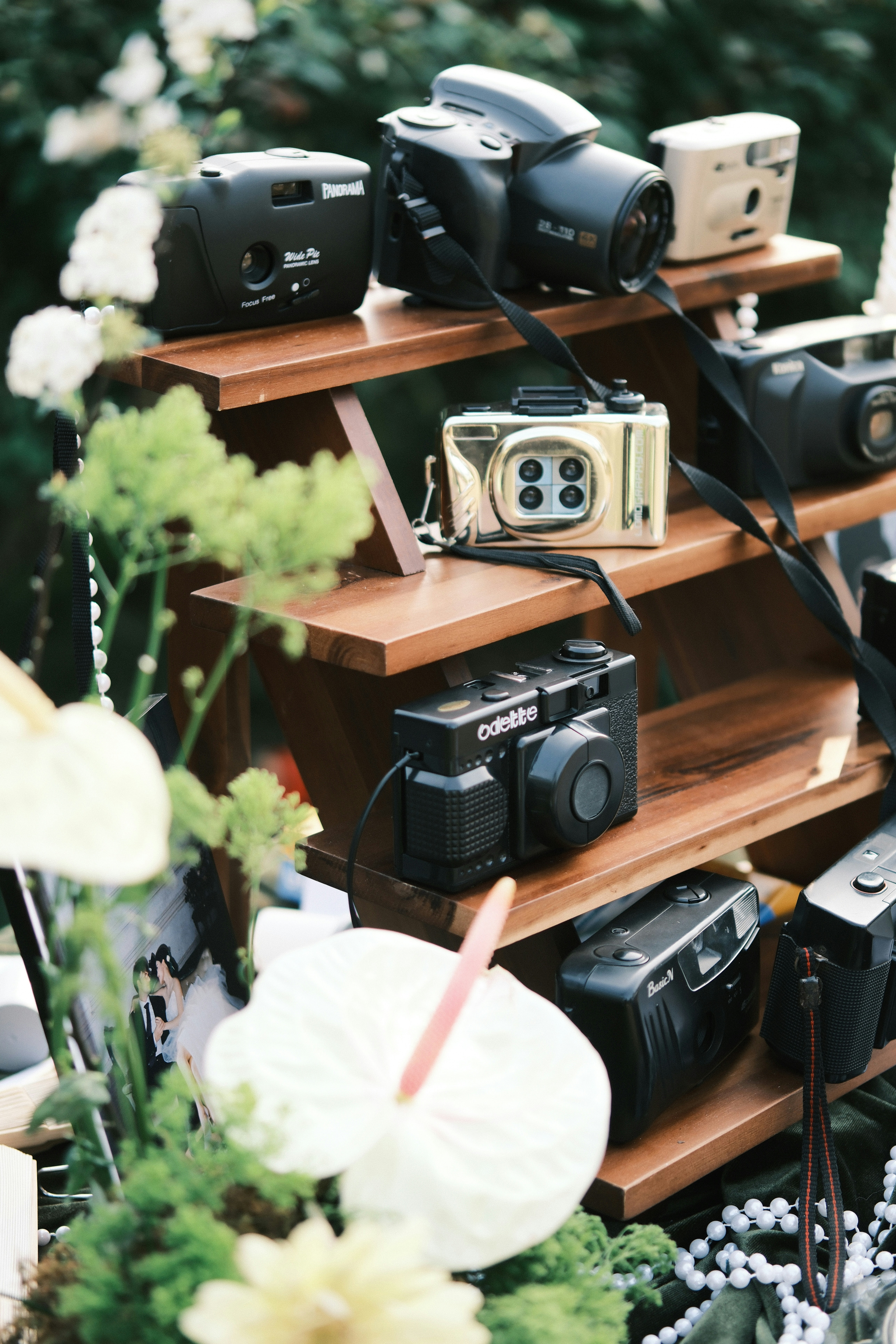 A bunch of cameras sitting on a shelf
