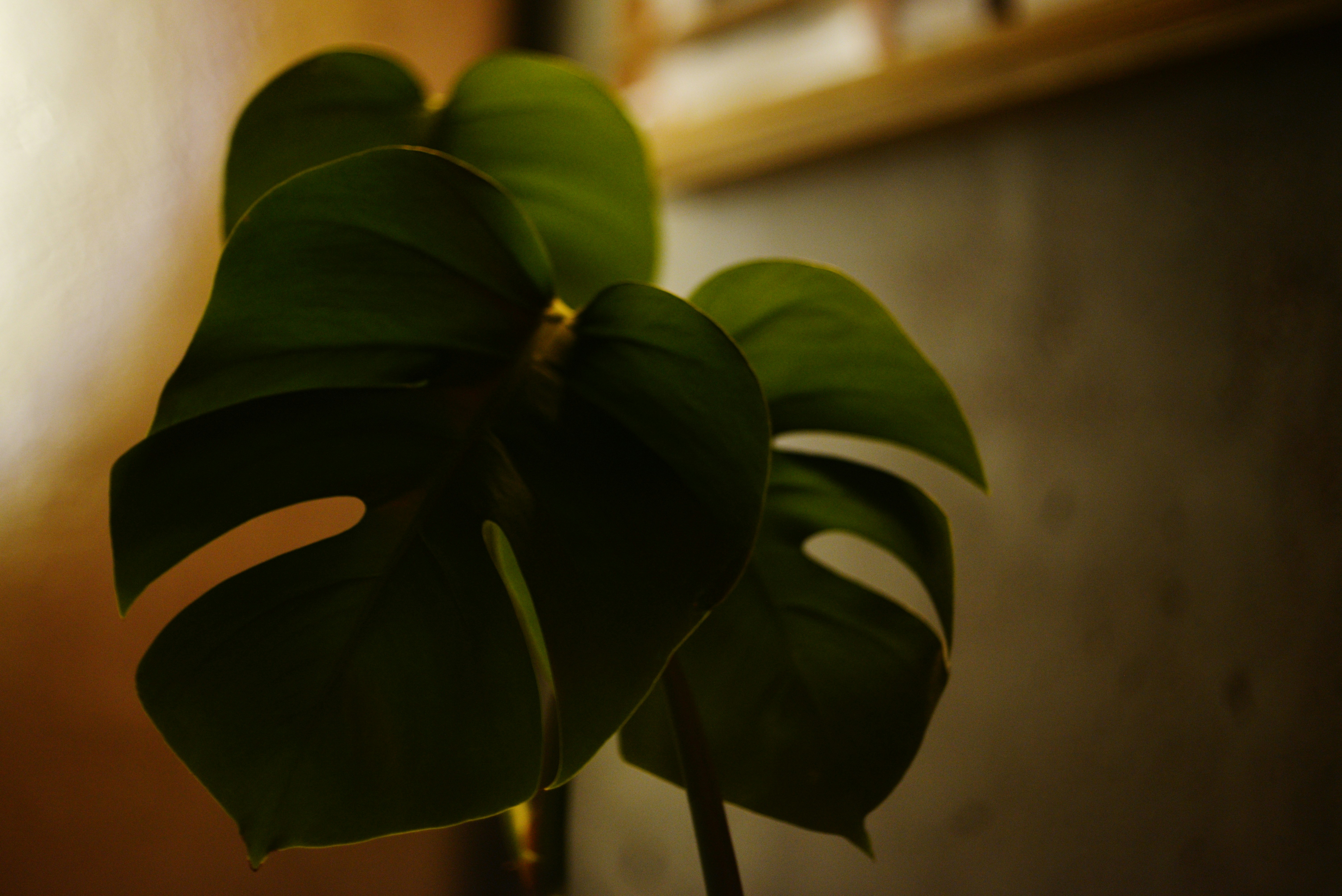 Photo by cherstve_pechivo