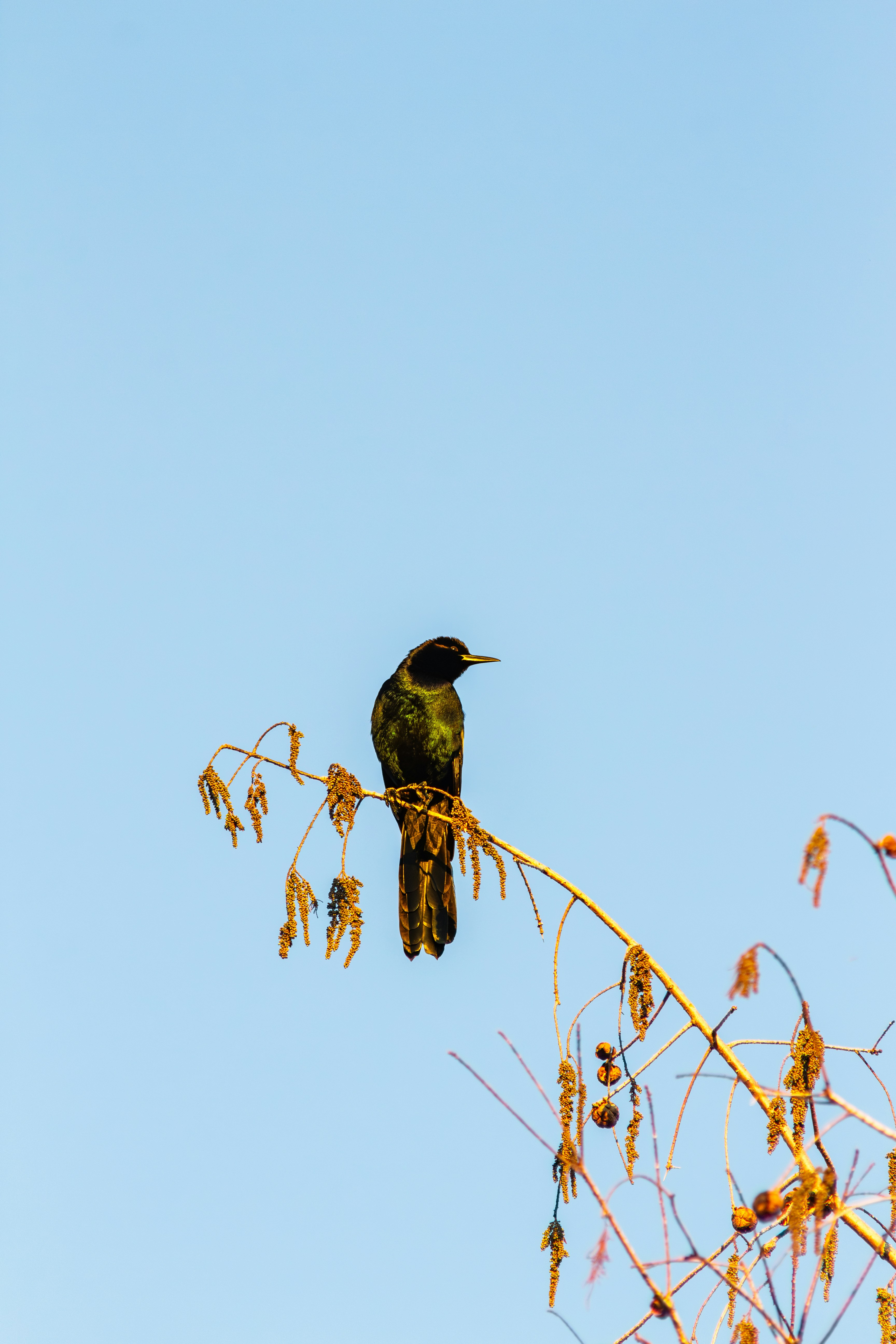 Photo by ramasai