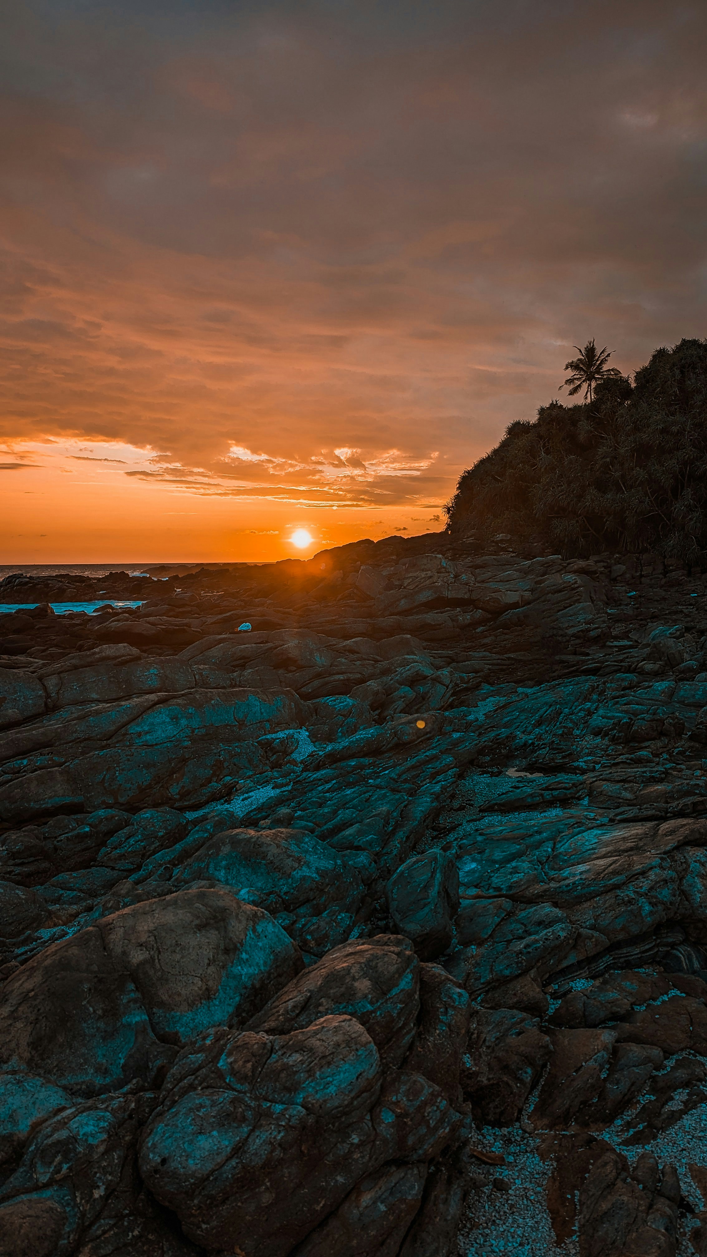 Photo by official_cris