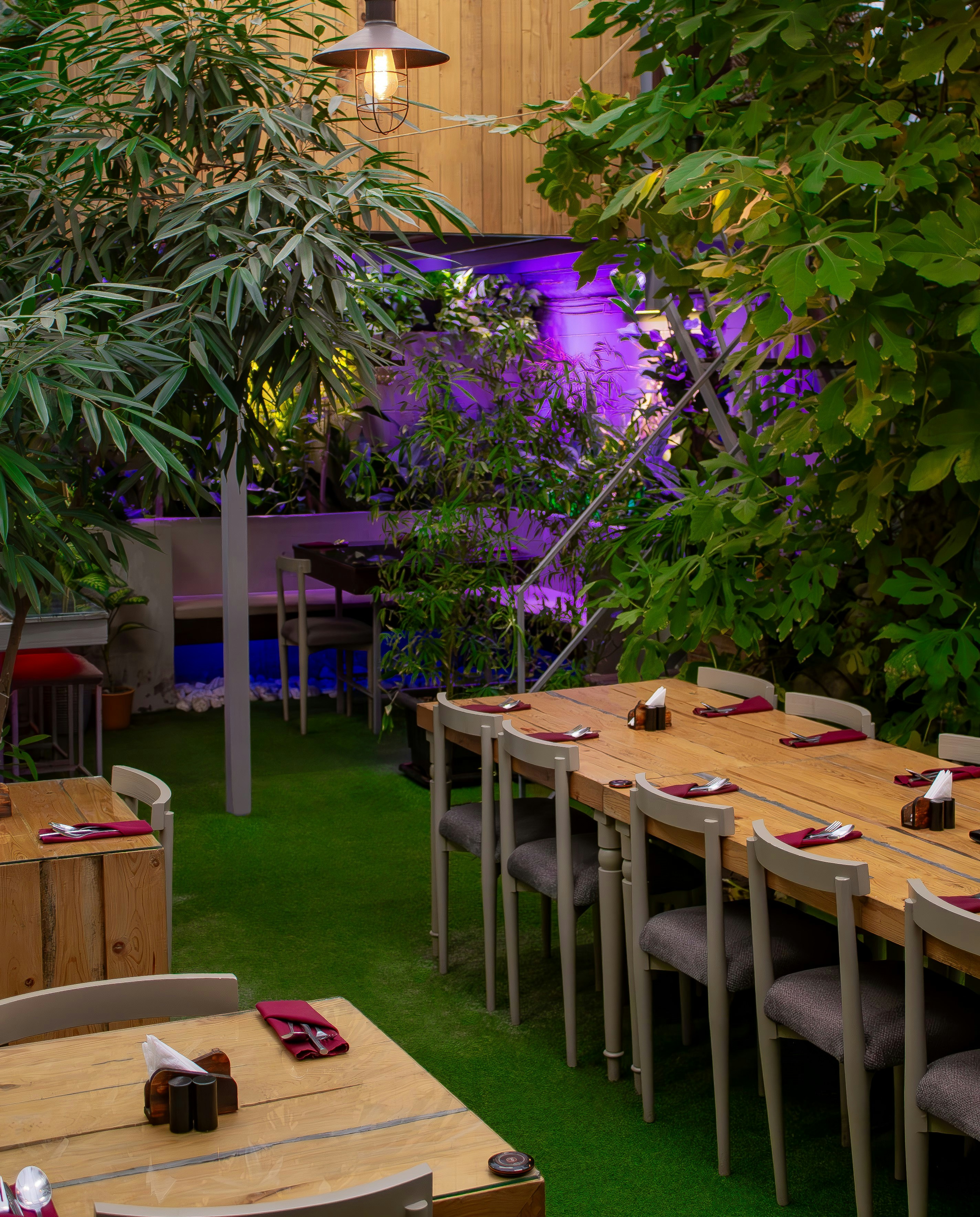 A restaurant with tables, chairs, and plants