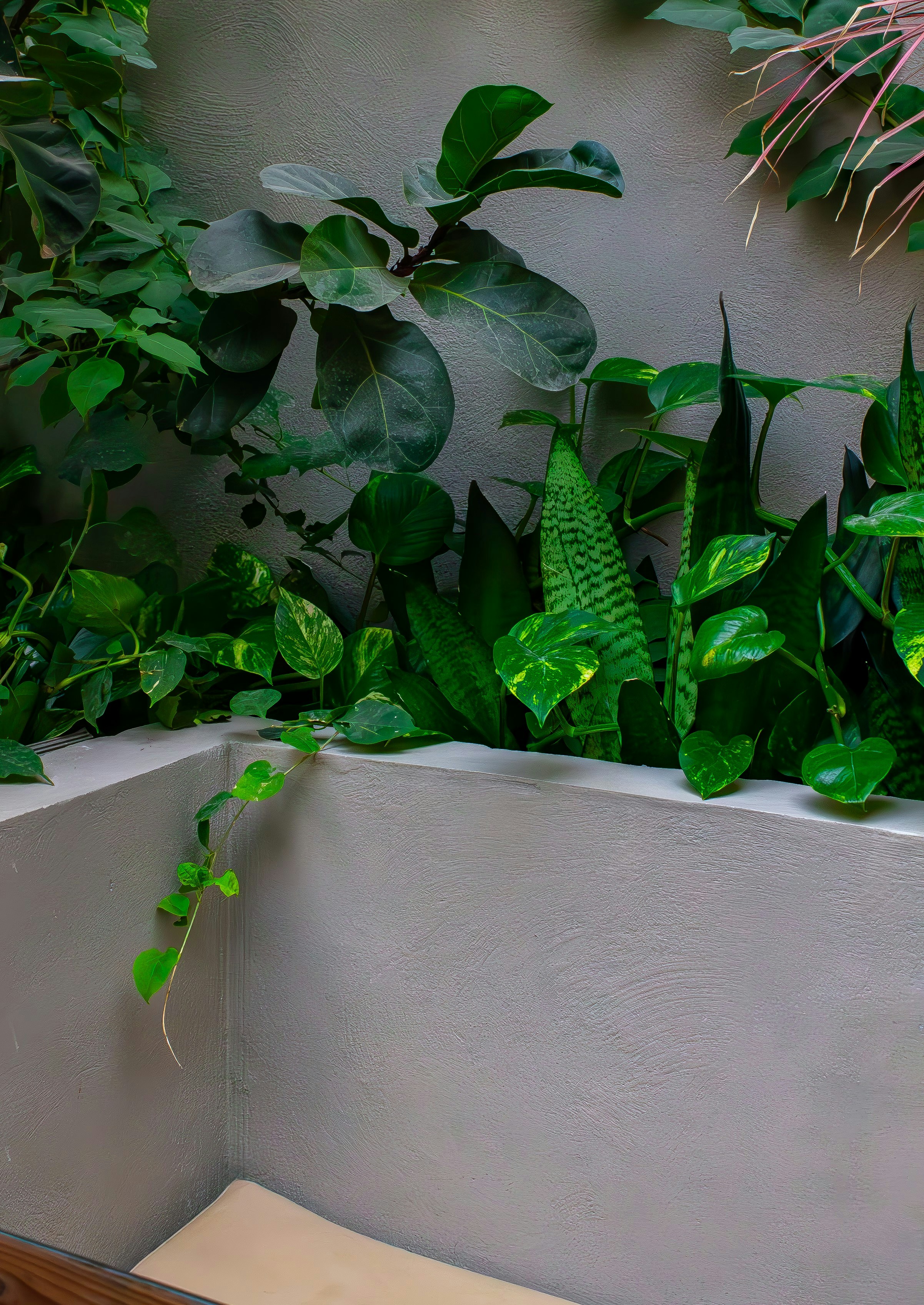 A planter filled with lots of green plants