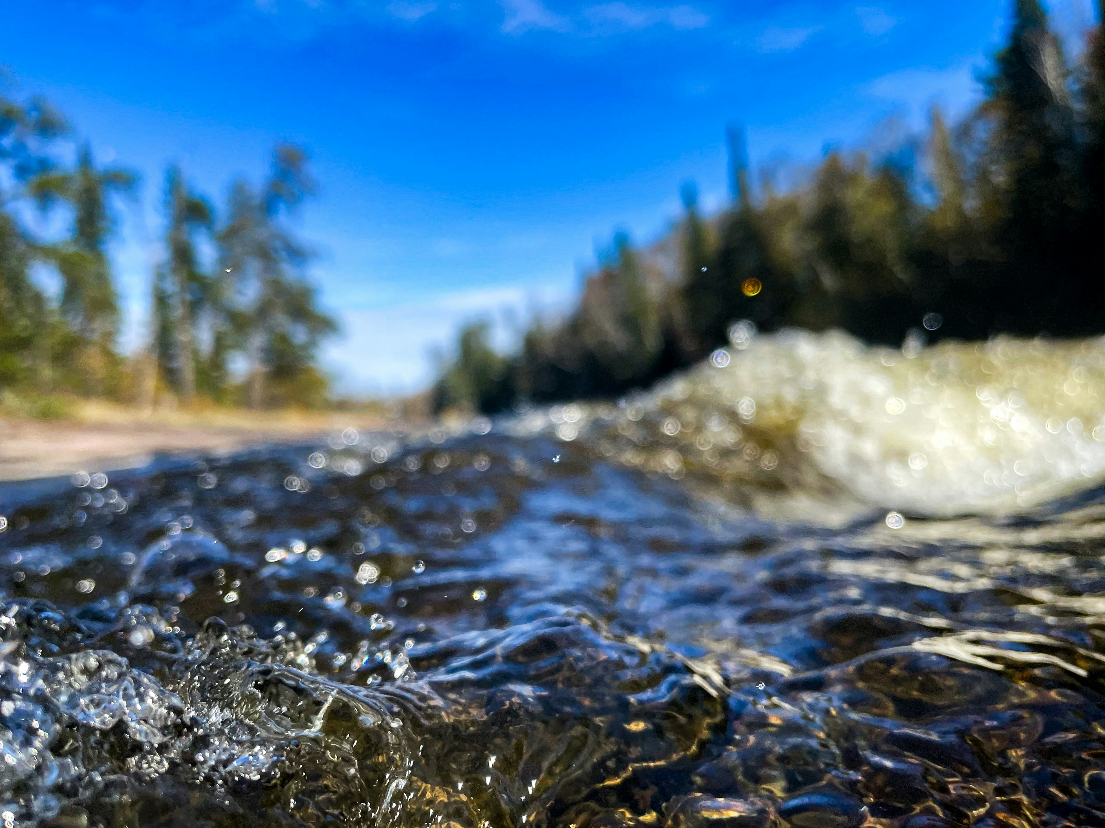 A close up of water with trees in the background