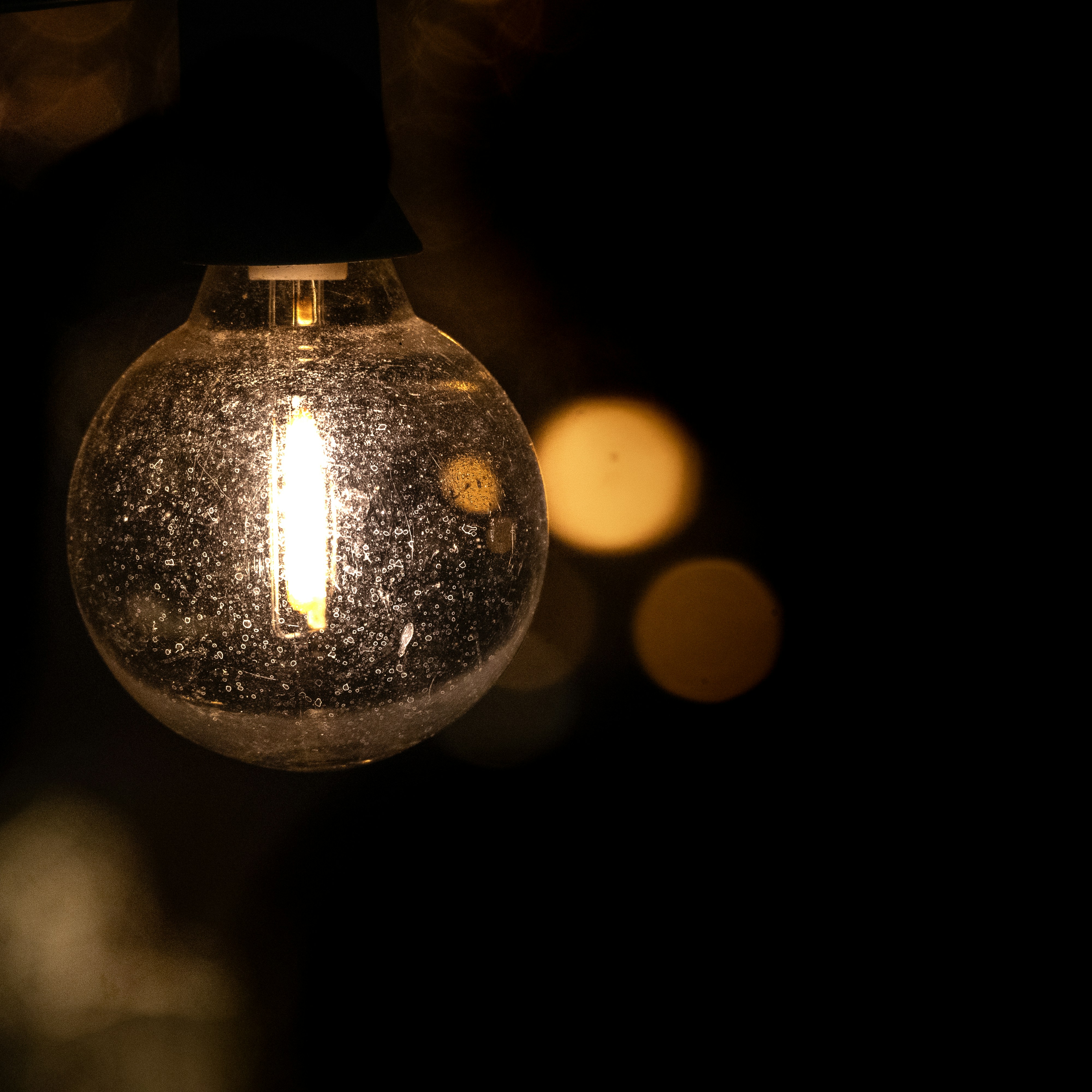 Photo by dani_photo_graphic