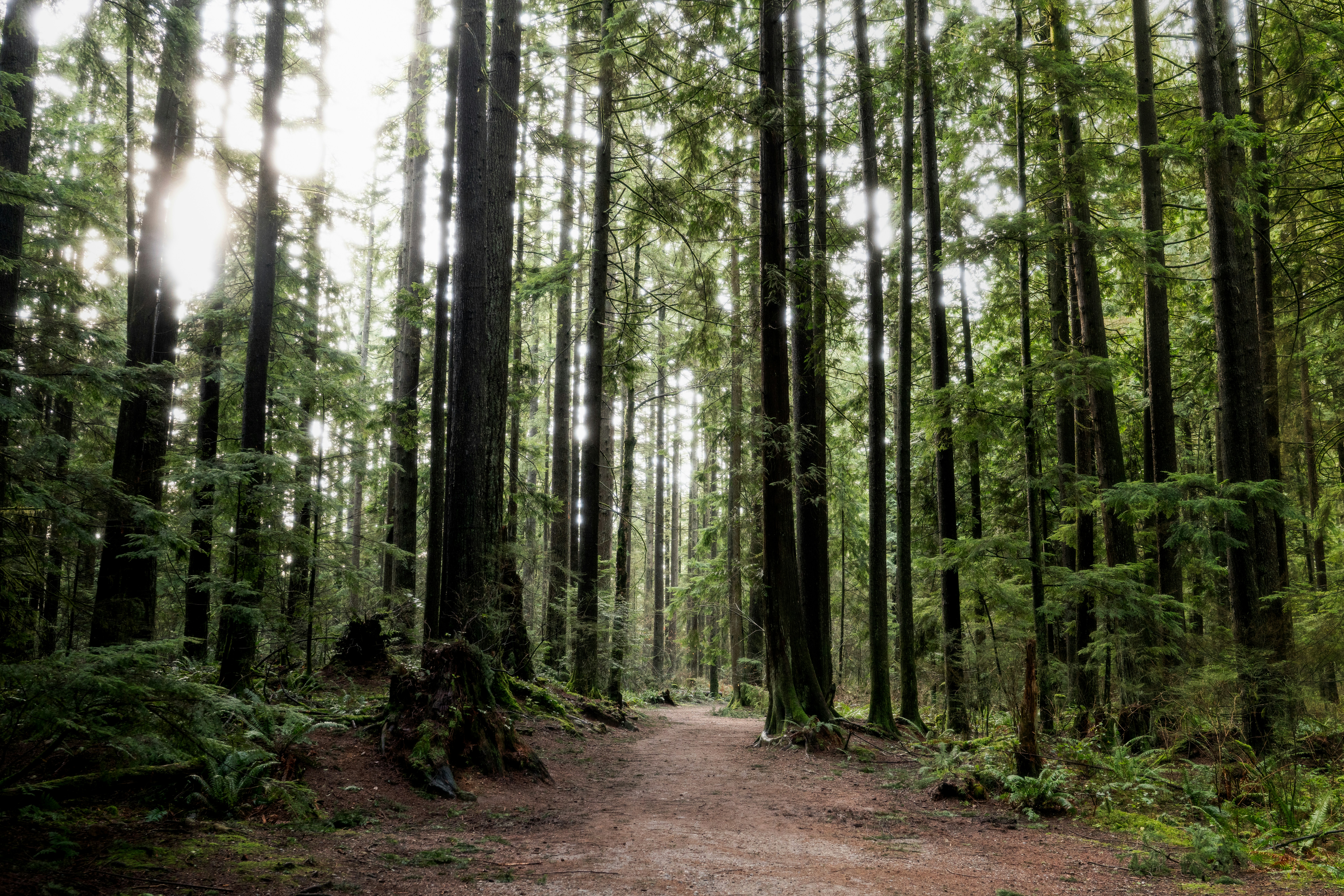 Photo by nikhilmitra