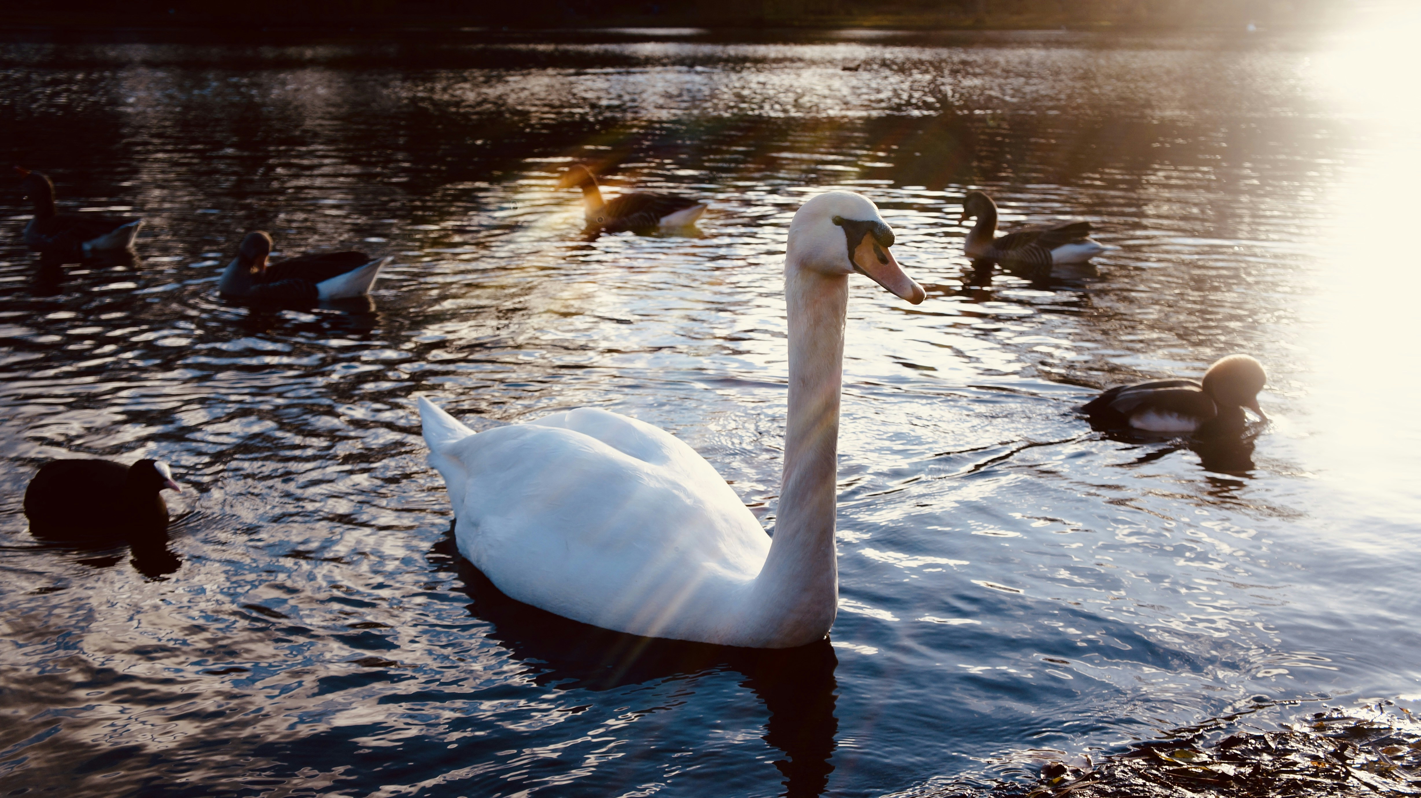 Photo by ginabertoldiph