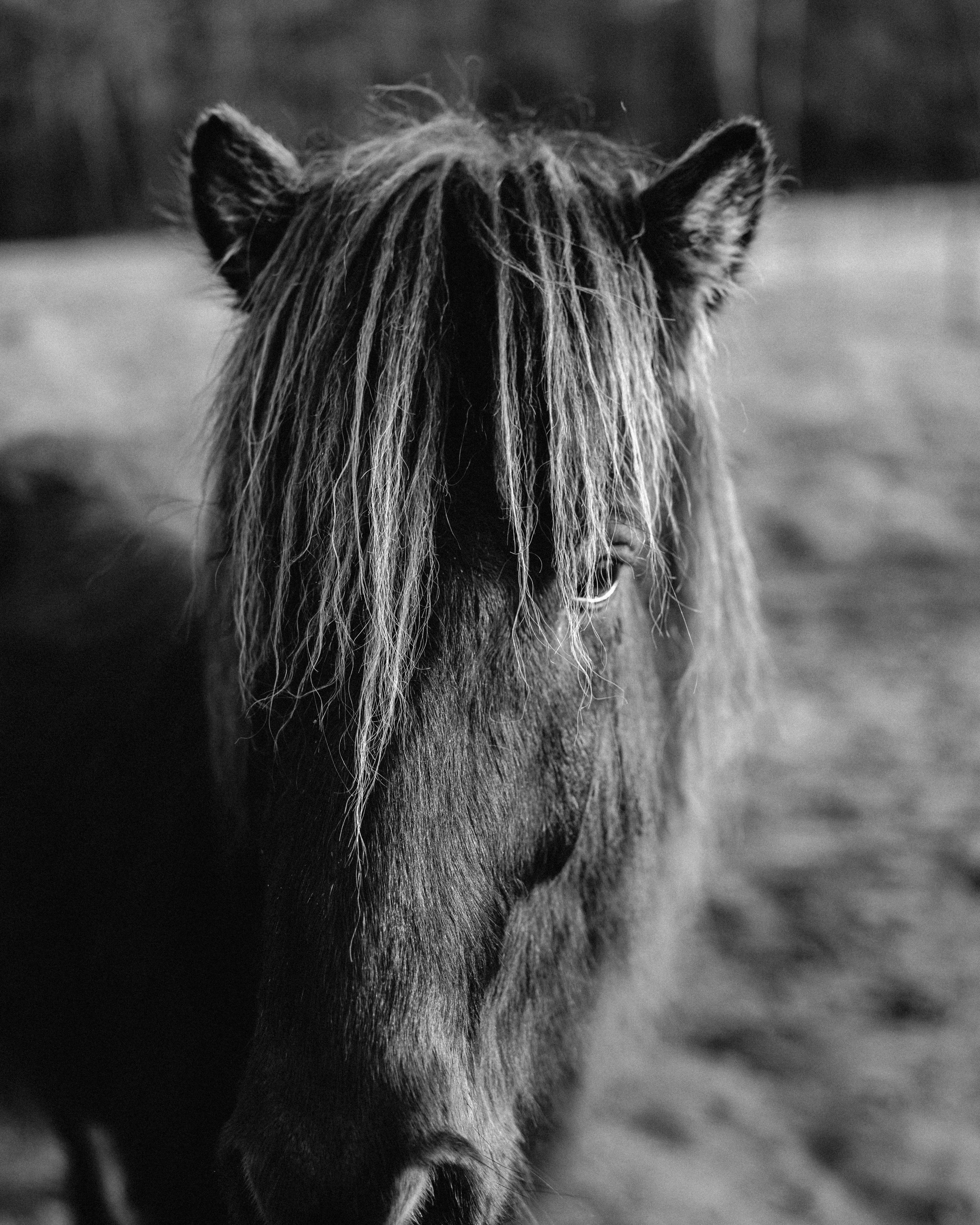 Photo by sinusfiction