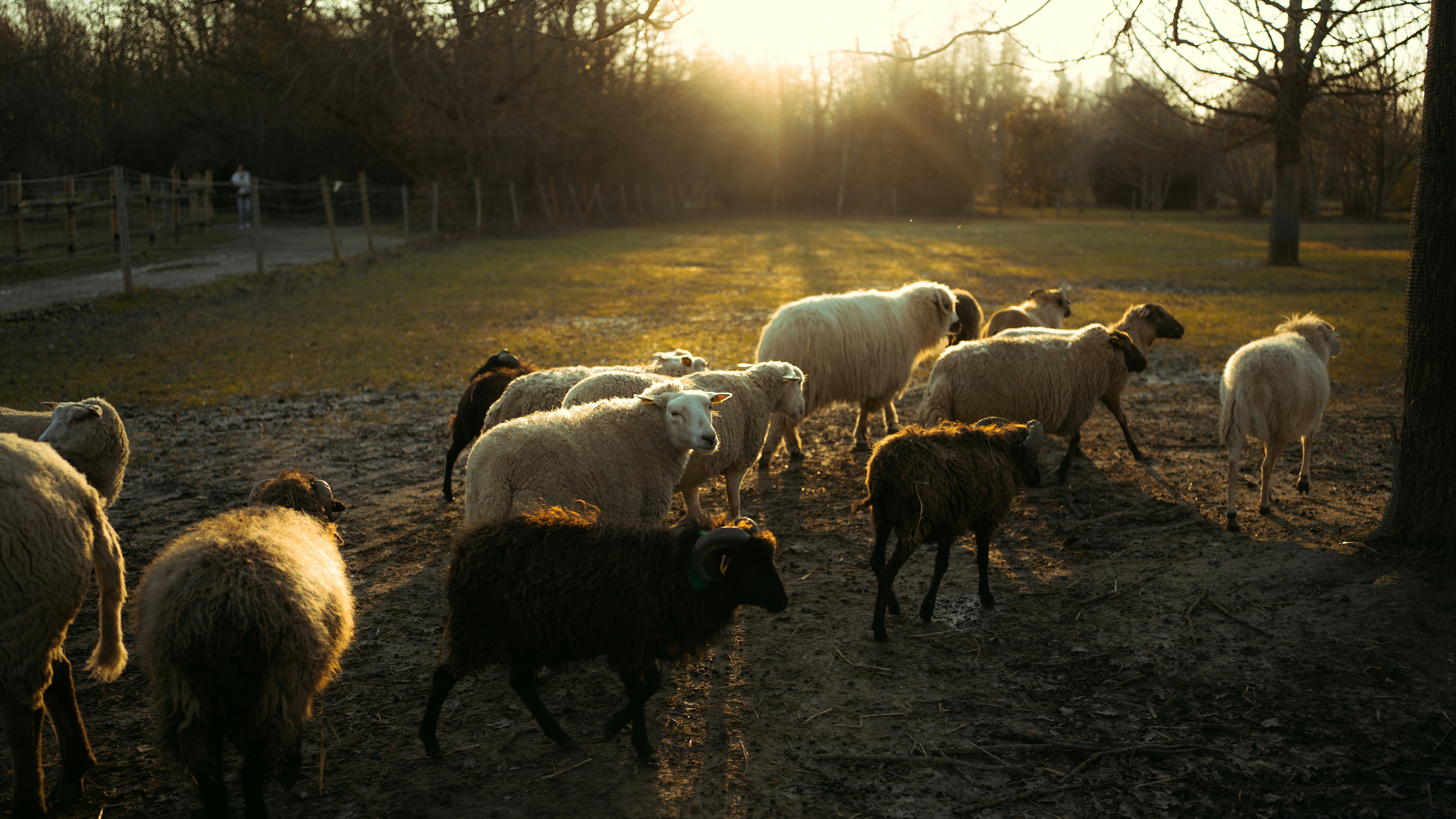 How a Solar Powered Irrigation System Can Boost Crop Yields and Cut Farm Costs