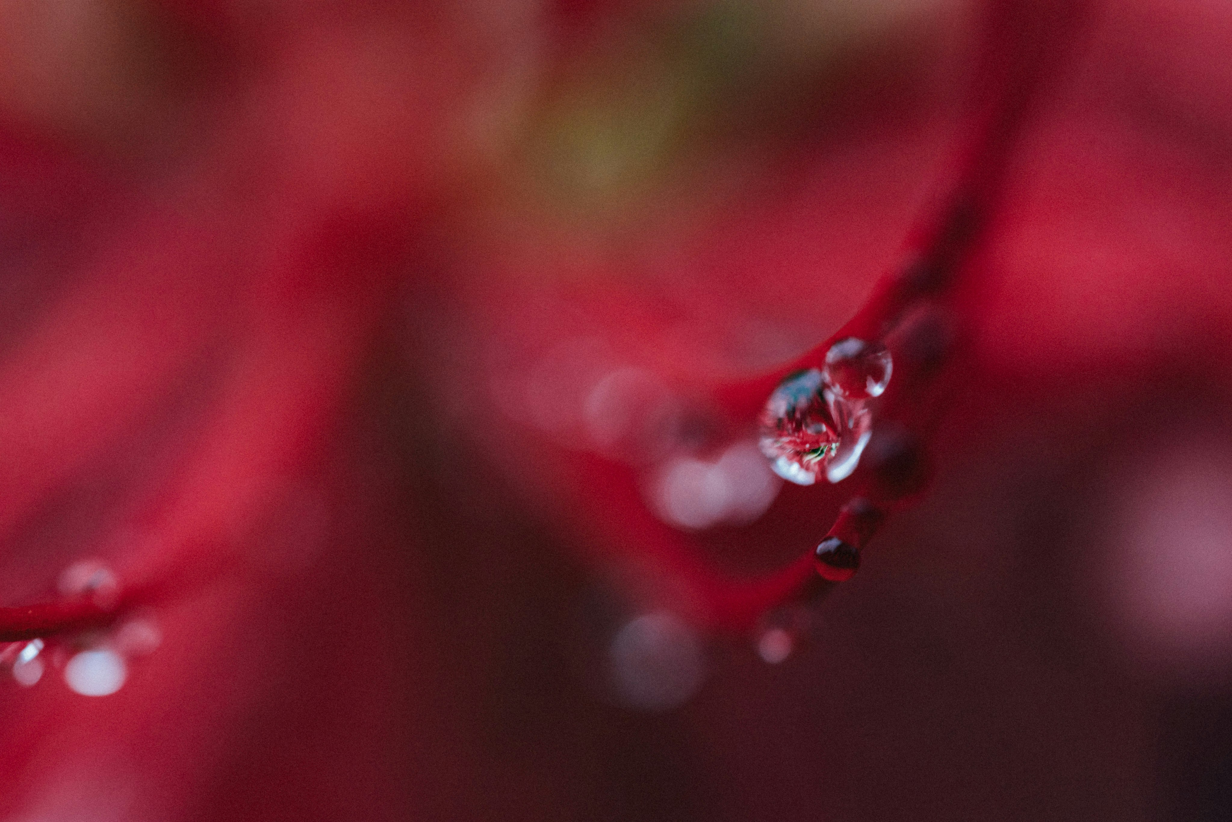 Photo by tsuyoshikozu