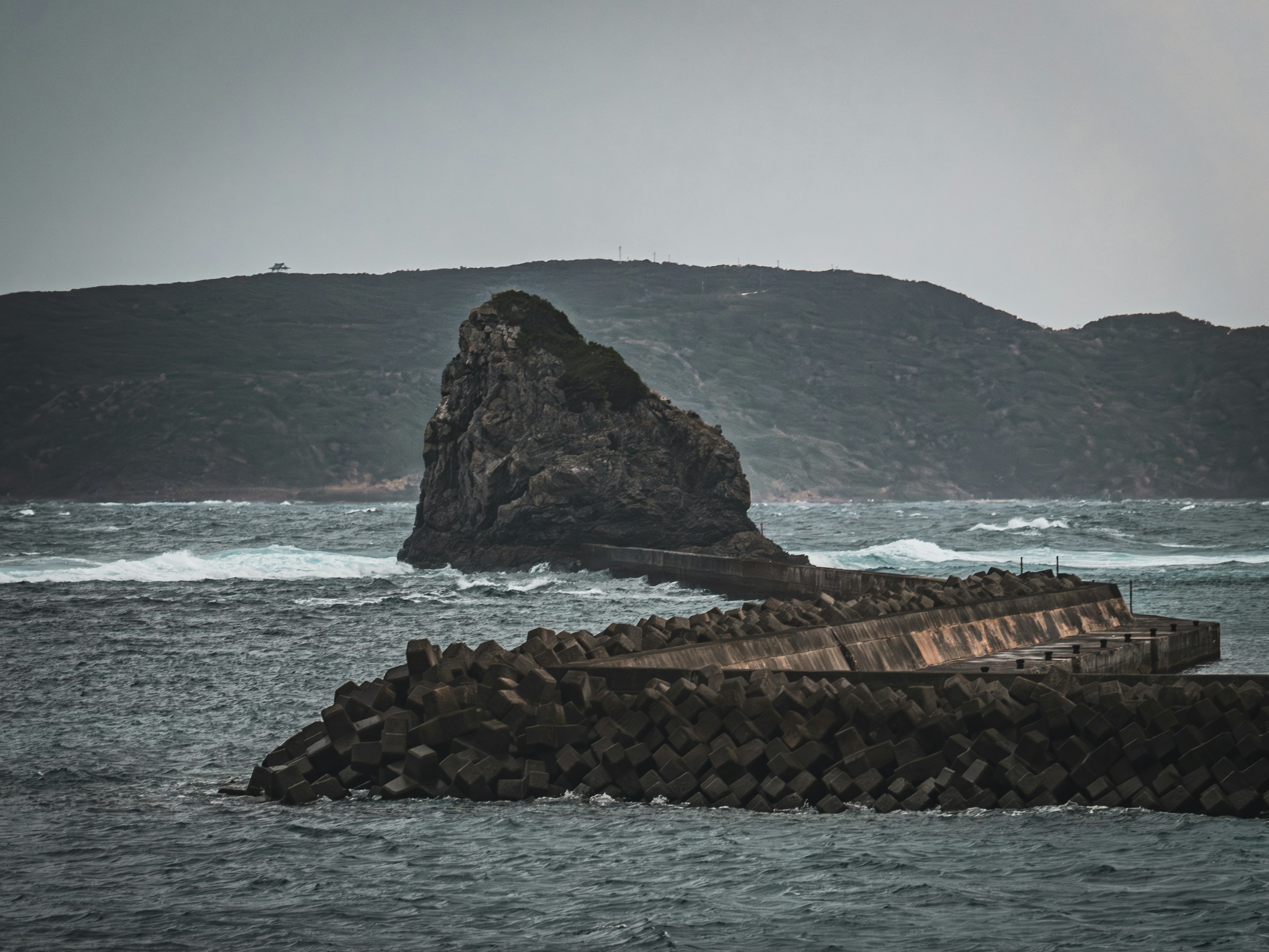 Photo by poli_graphy