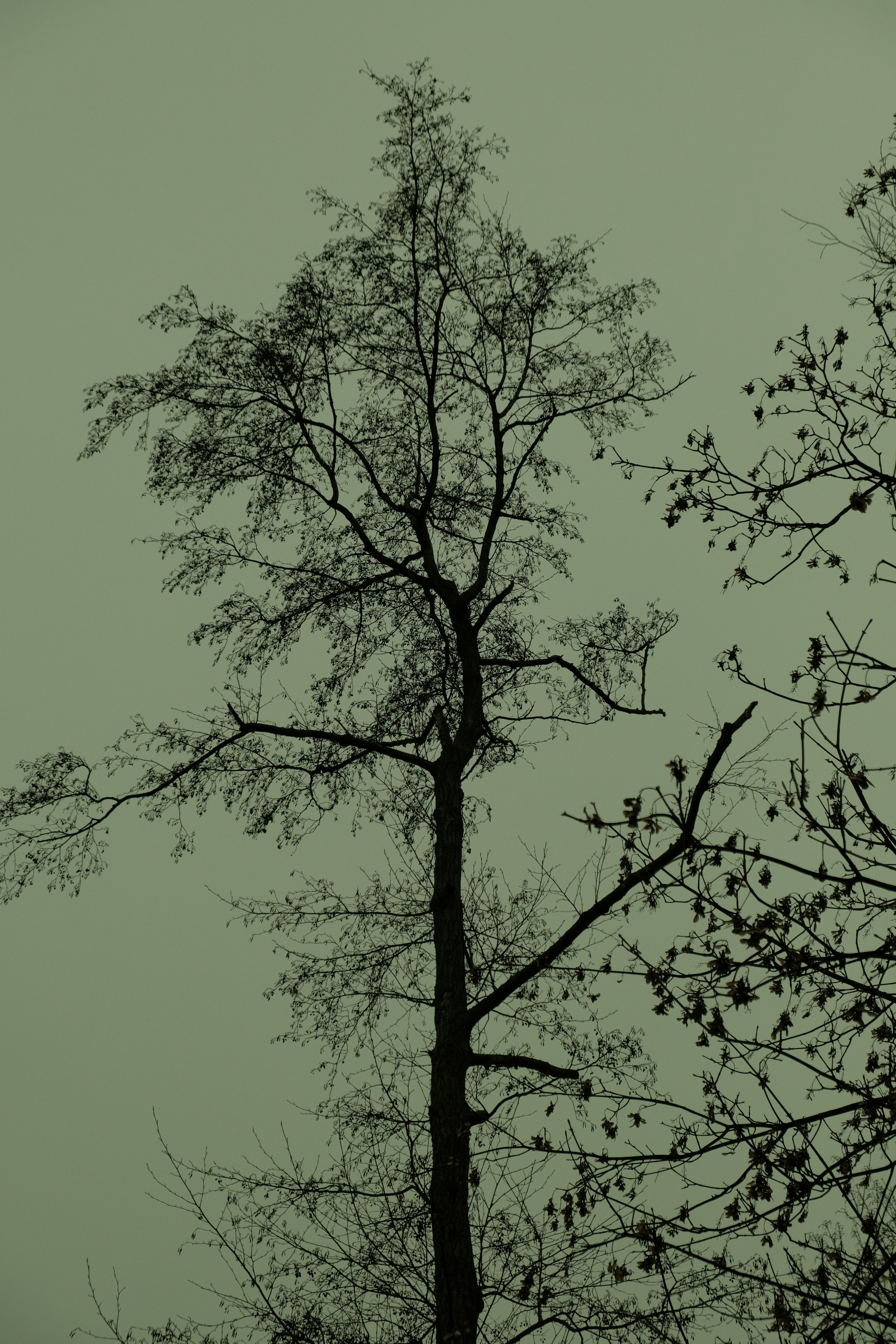 Photo by kyantijhuis