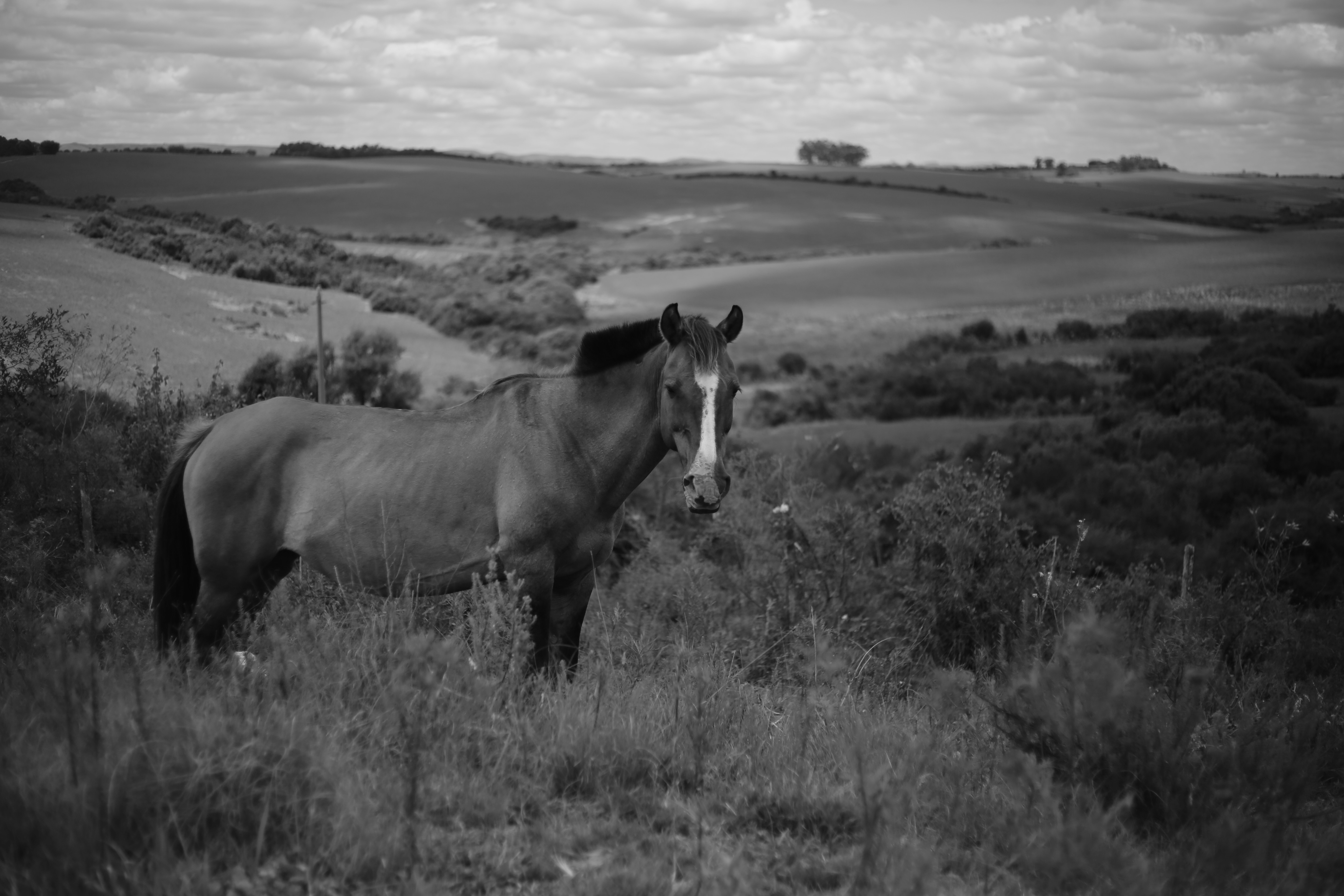 Photo by fontesvitor