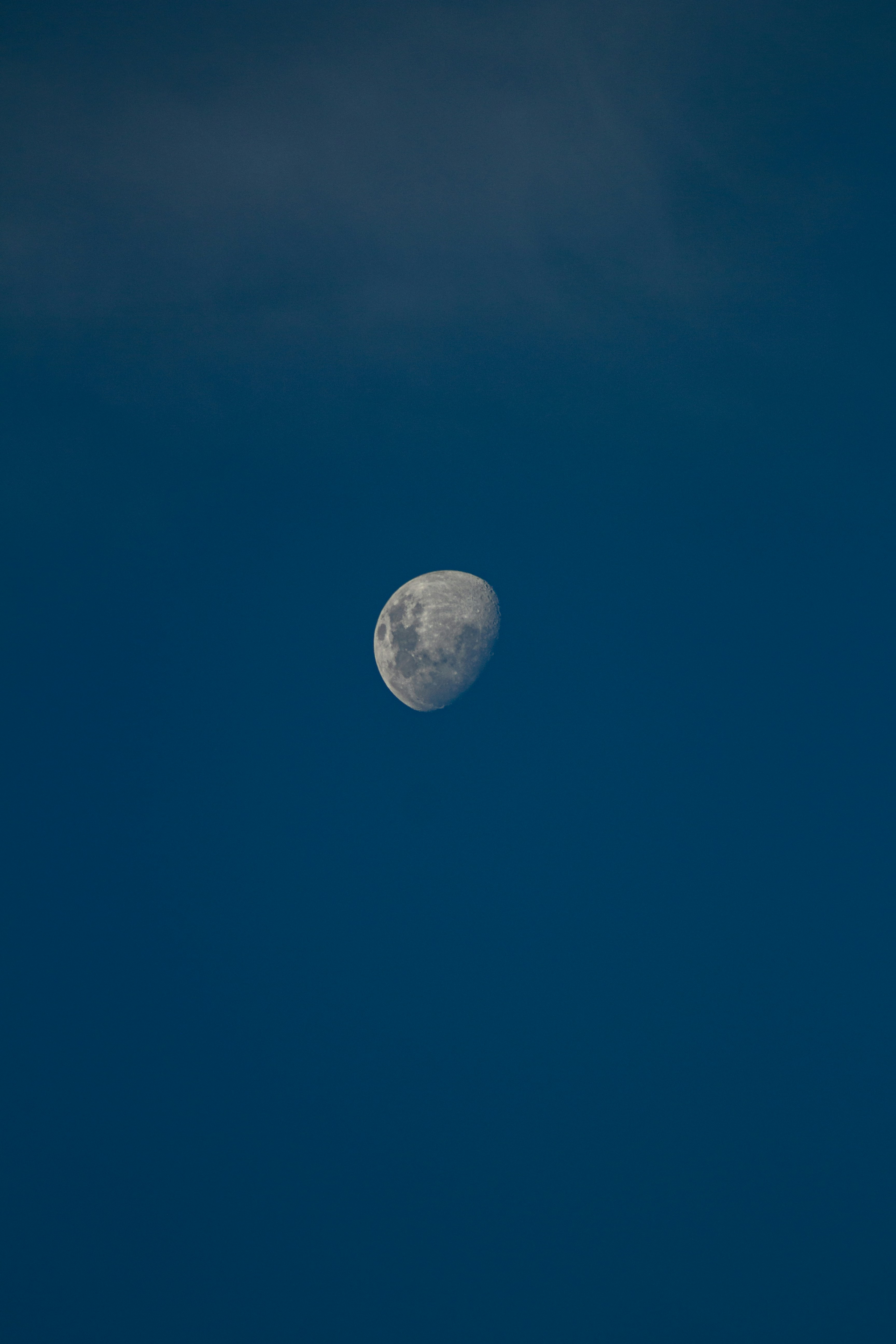 Photo by nathaliarantes