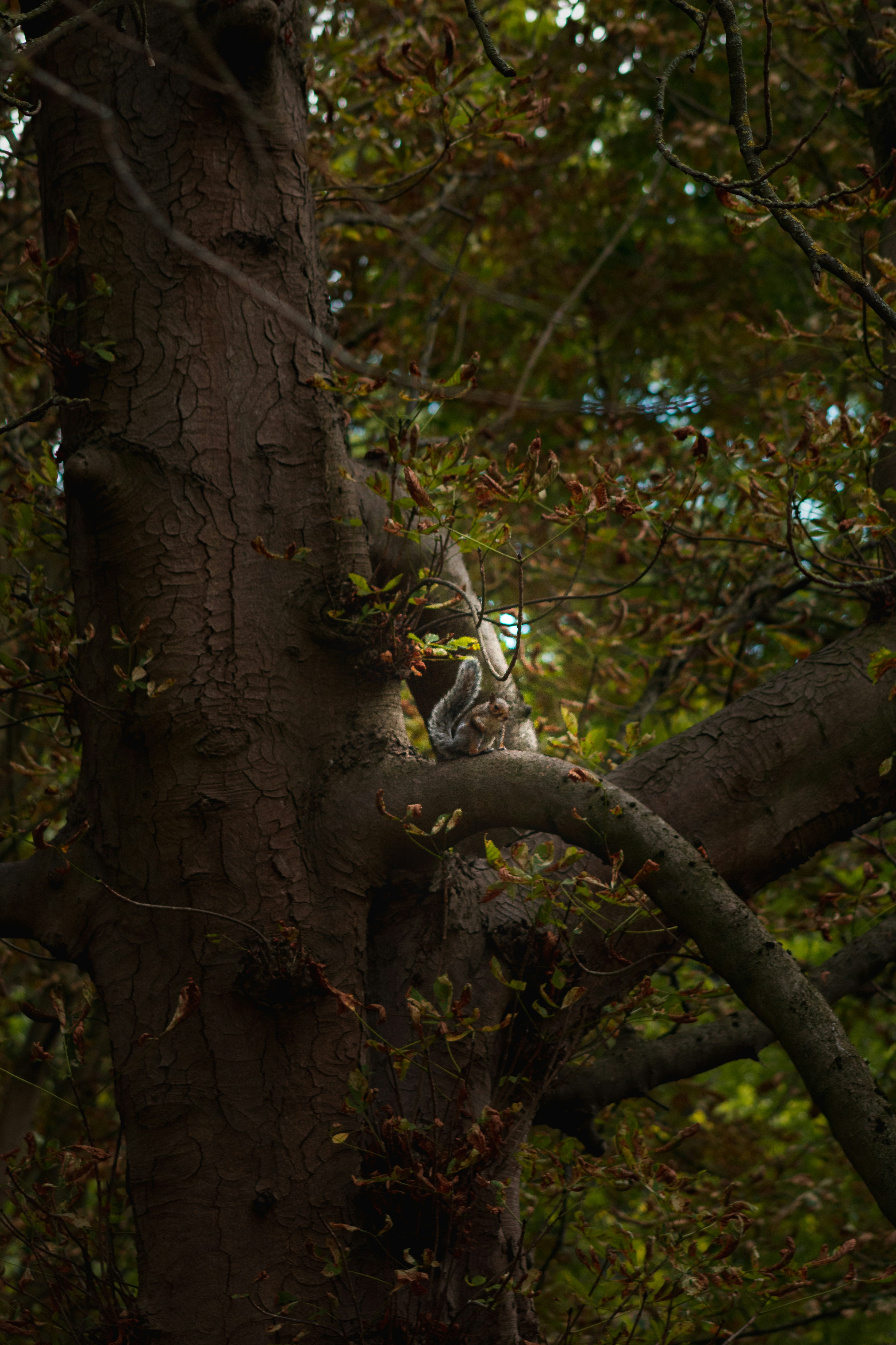 Photo by nathaliarantes