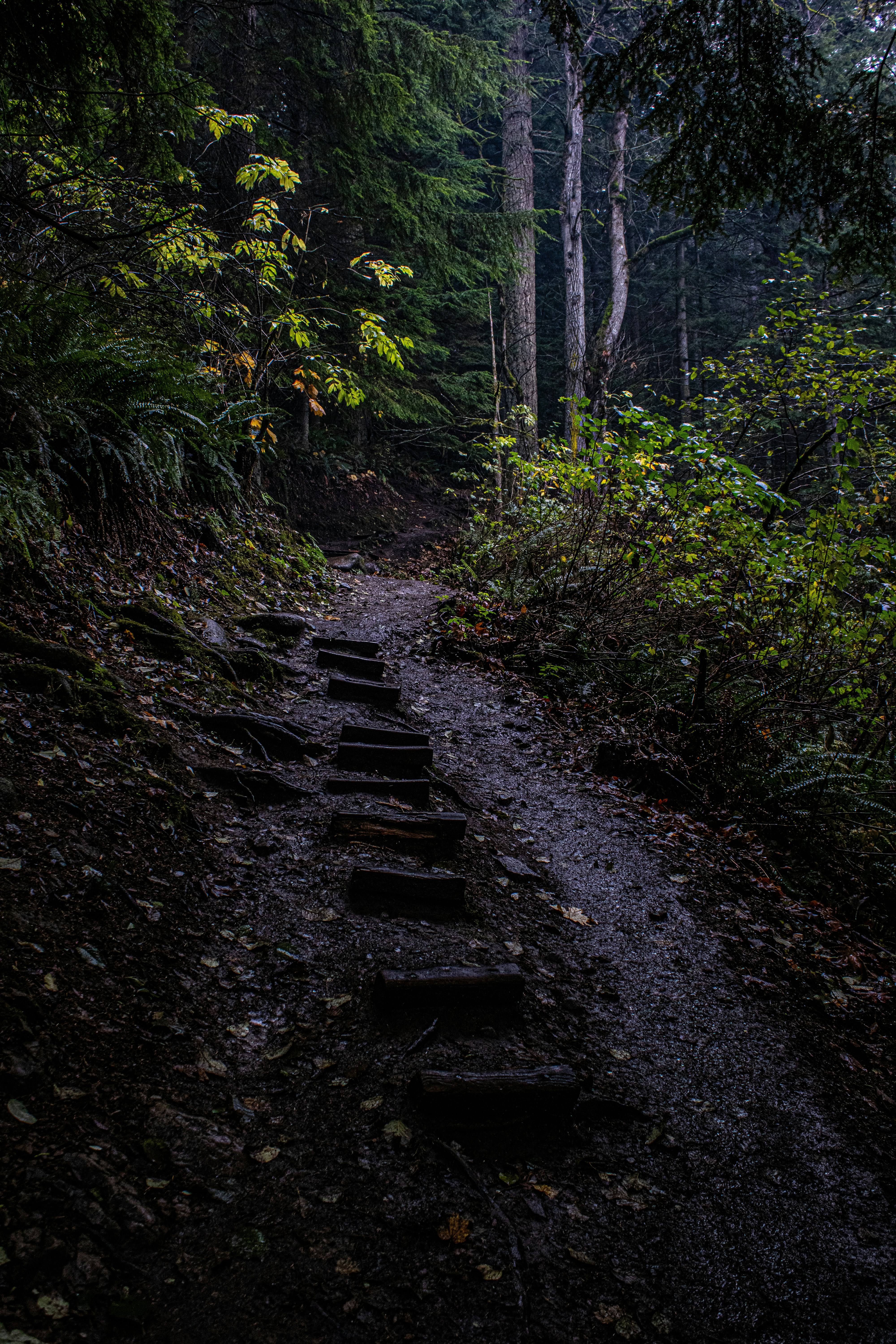 Photo by prphotography262