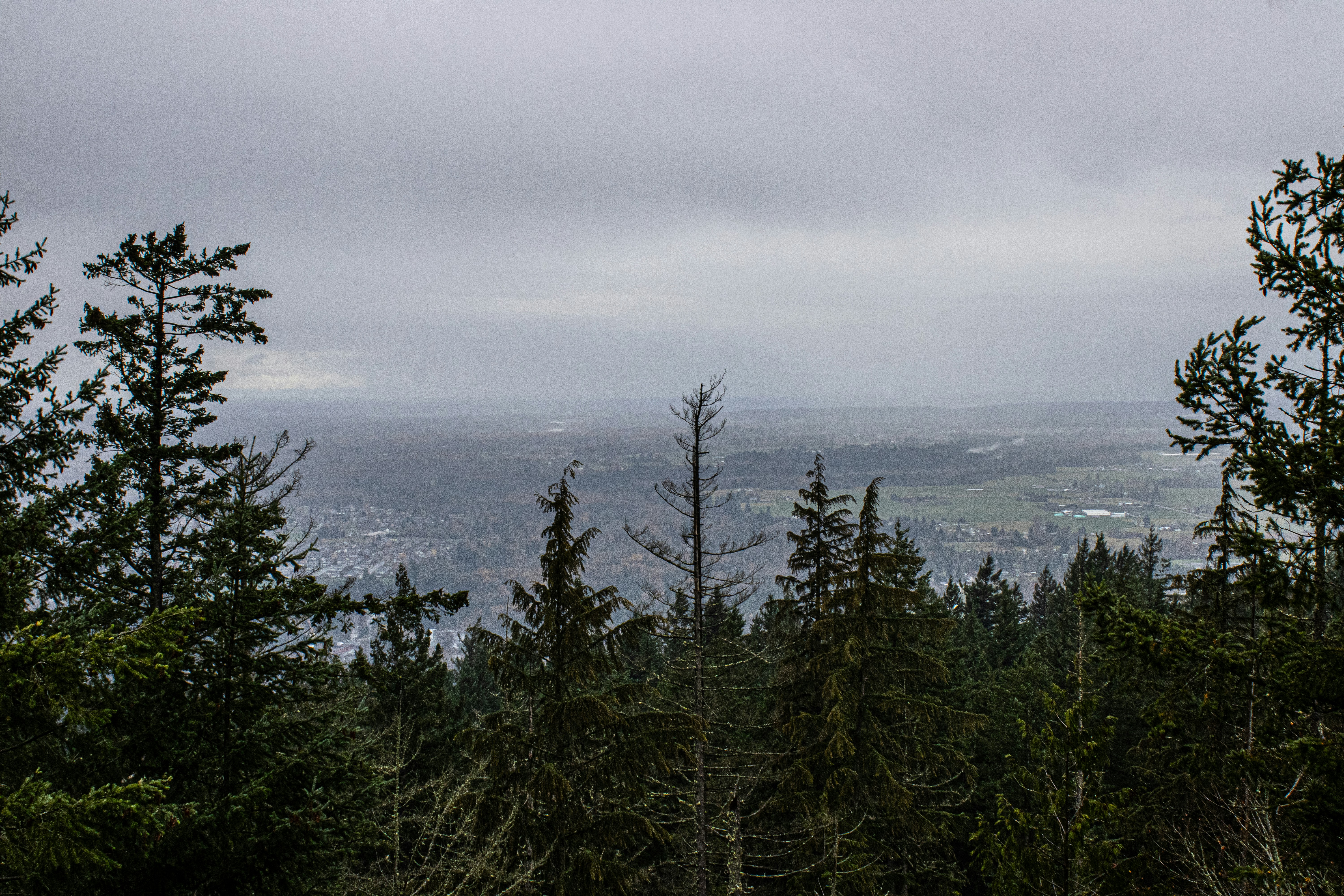 Photo by prphotography262