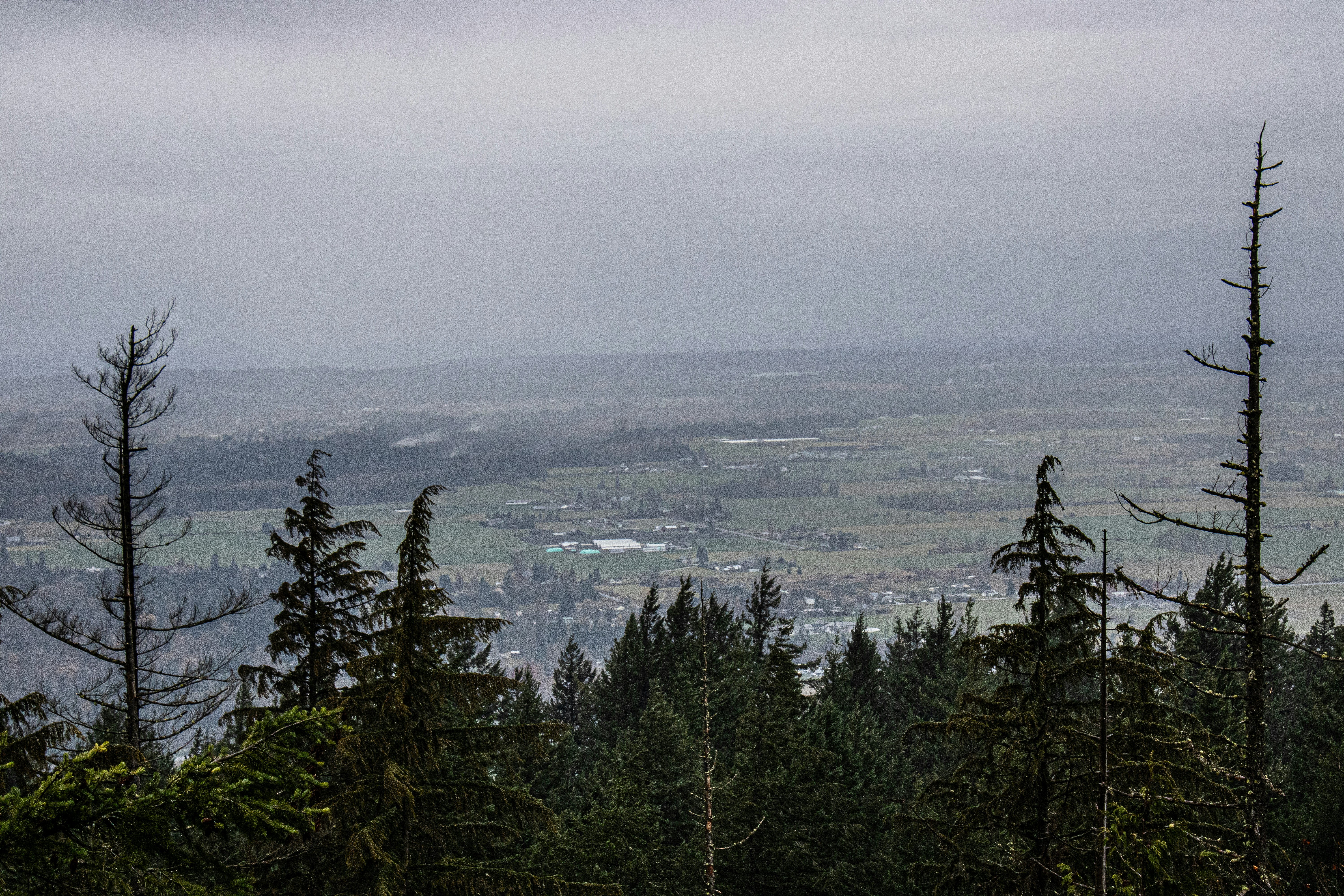 Photo by prphotography262