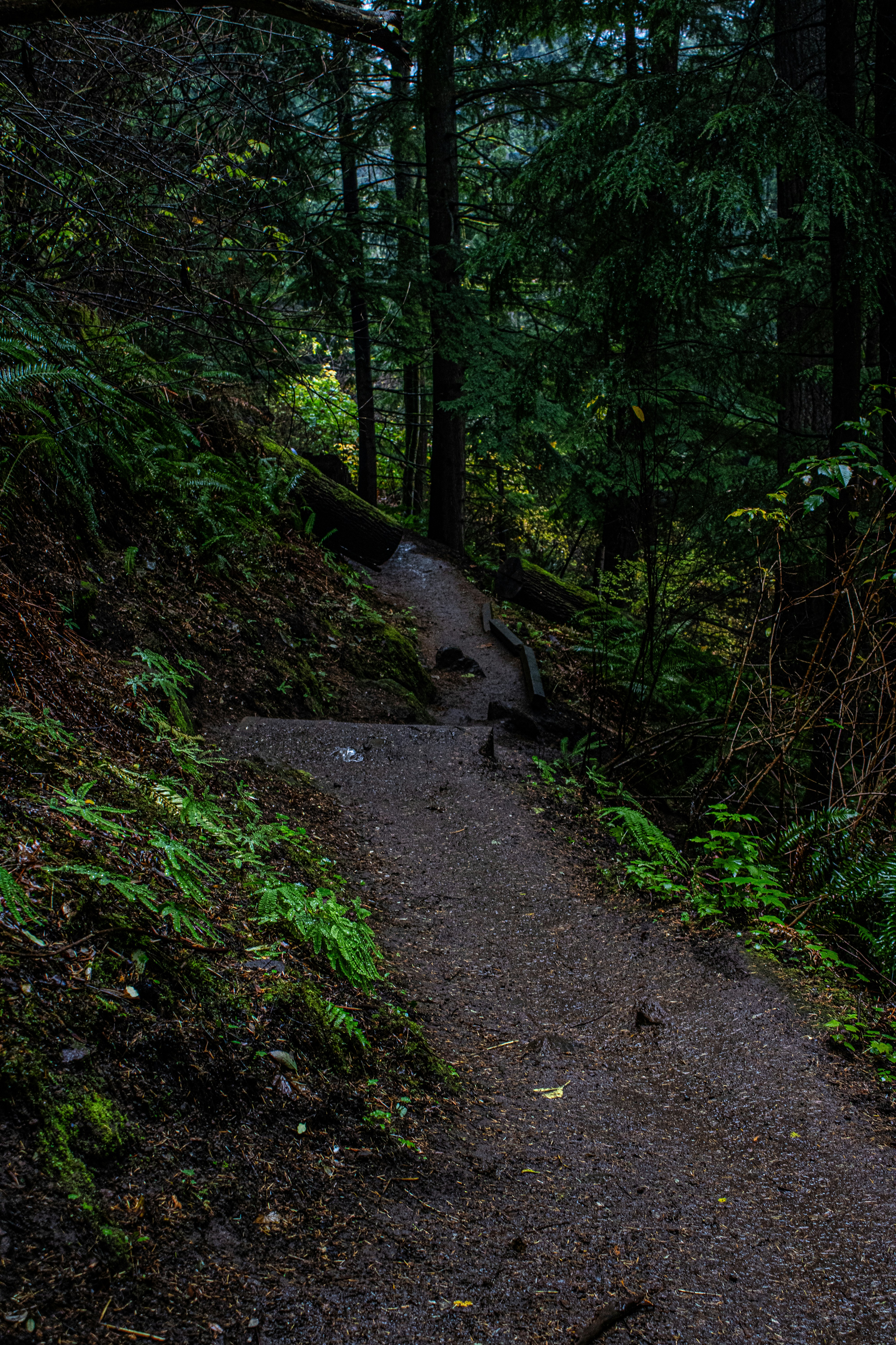 Photo by prphotography262