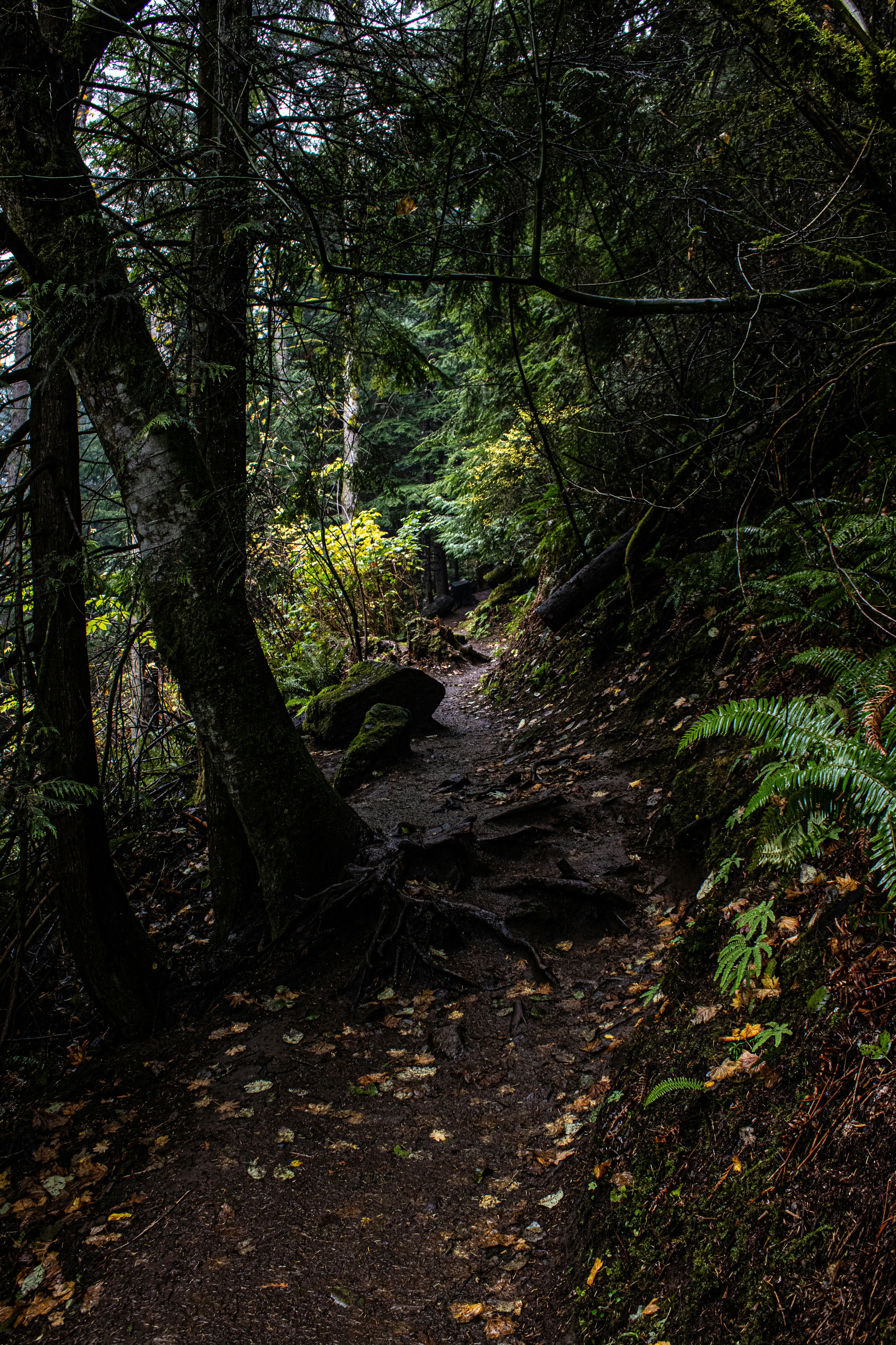 Photo by prphotography262