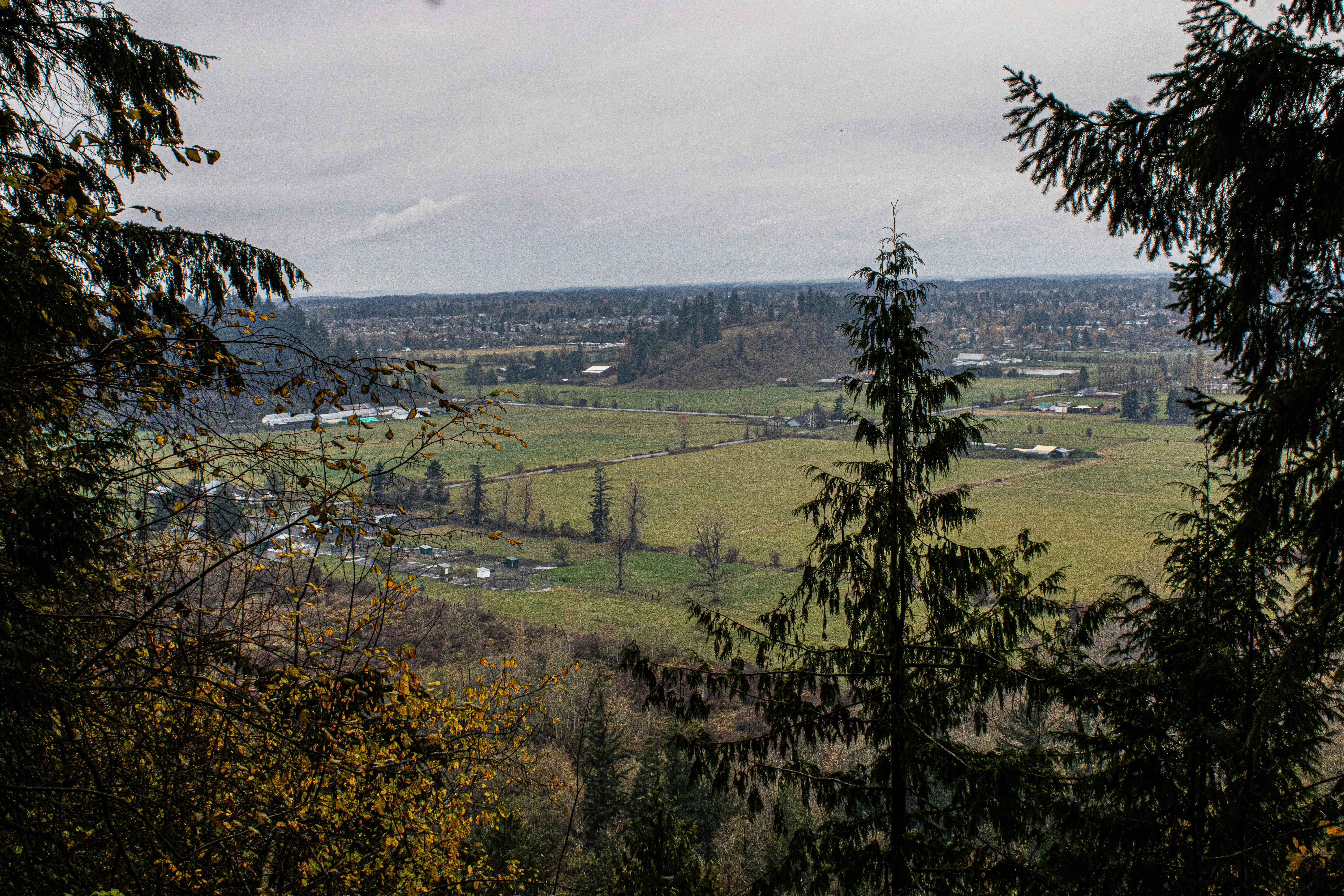 Photo by prphotography262