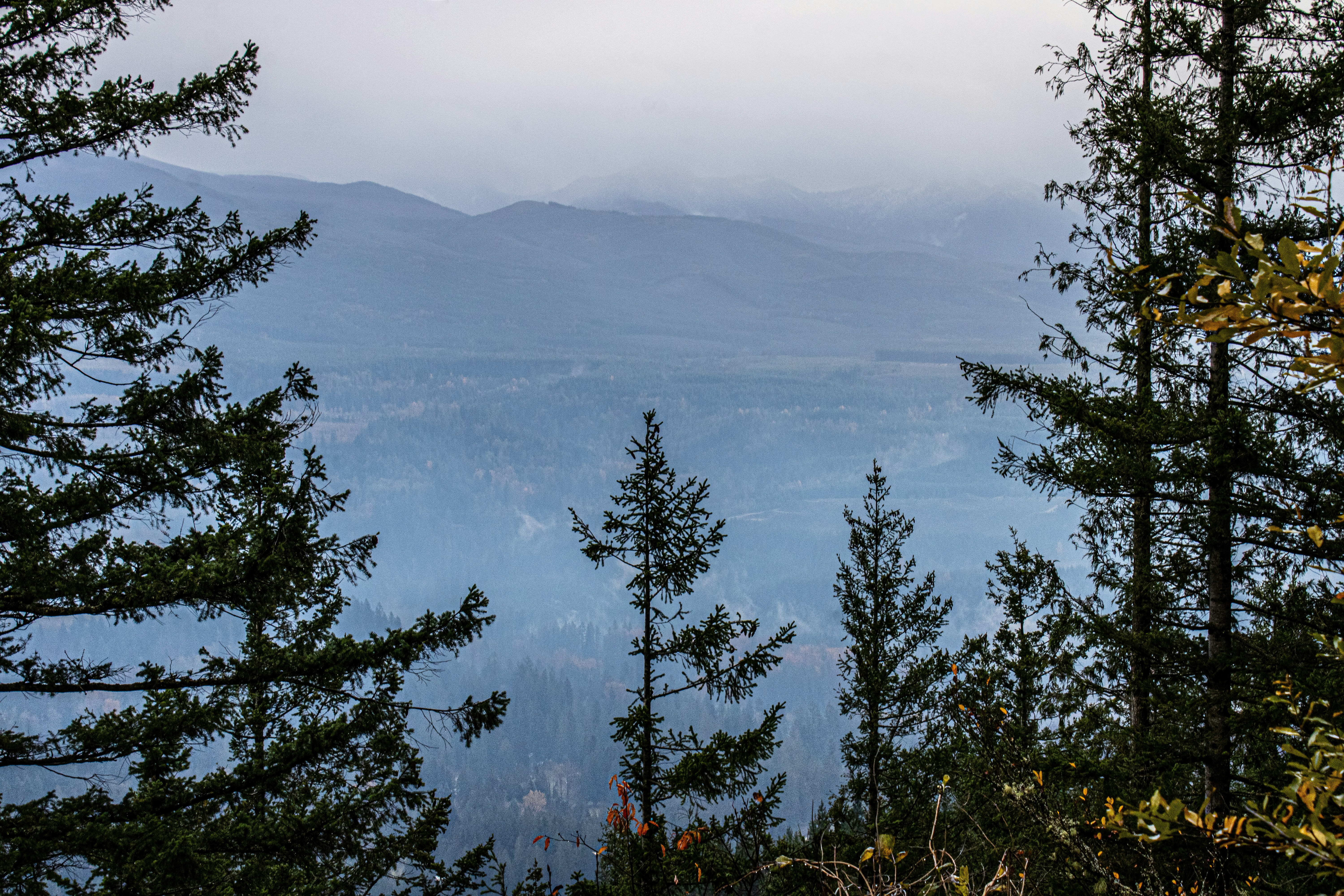 Photo by prphotography262