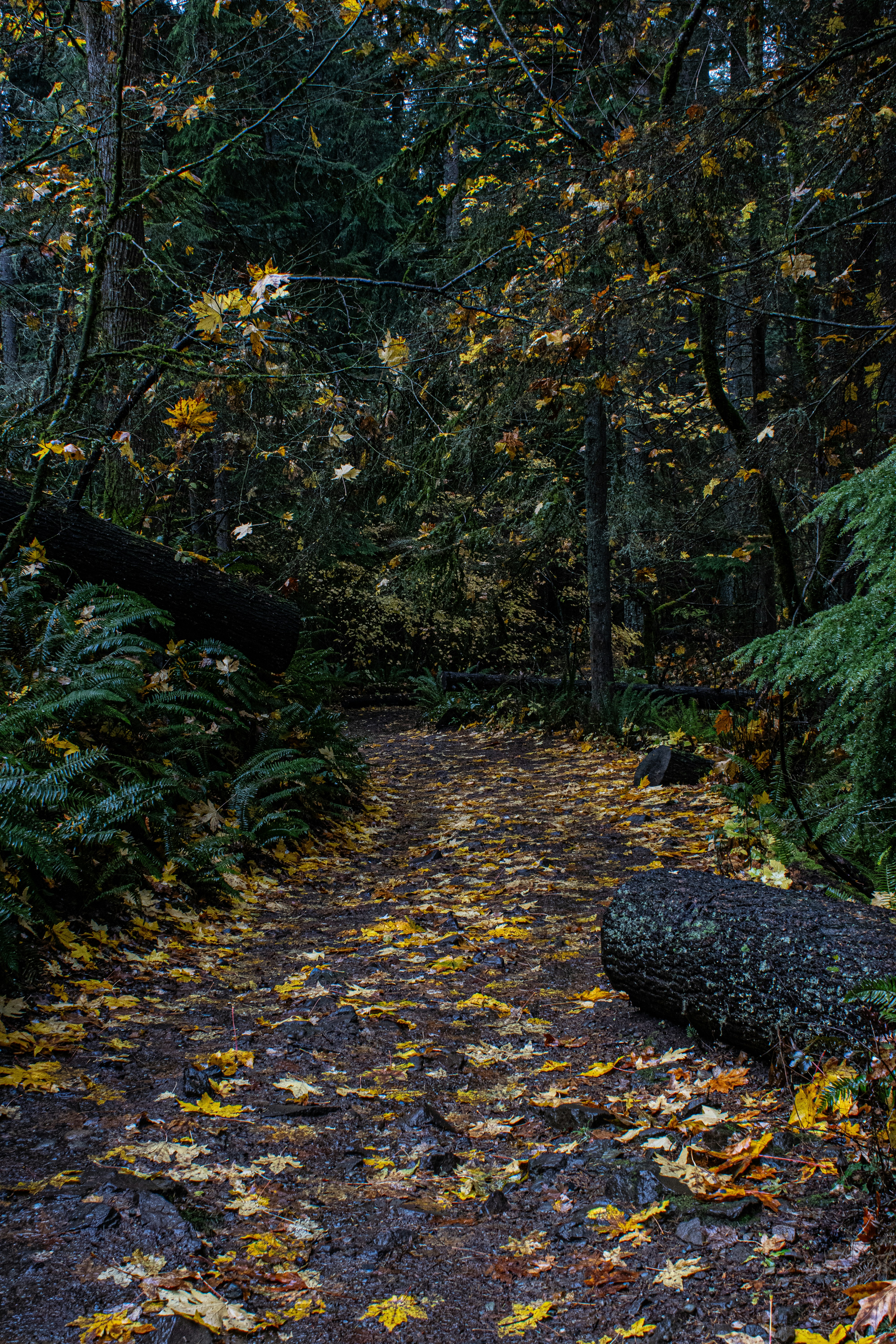 Photo by prphotography262