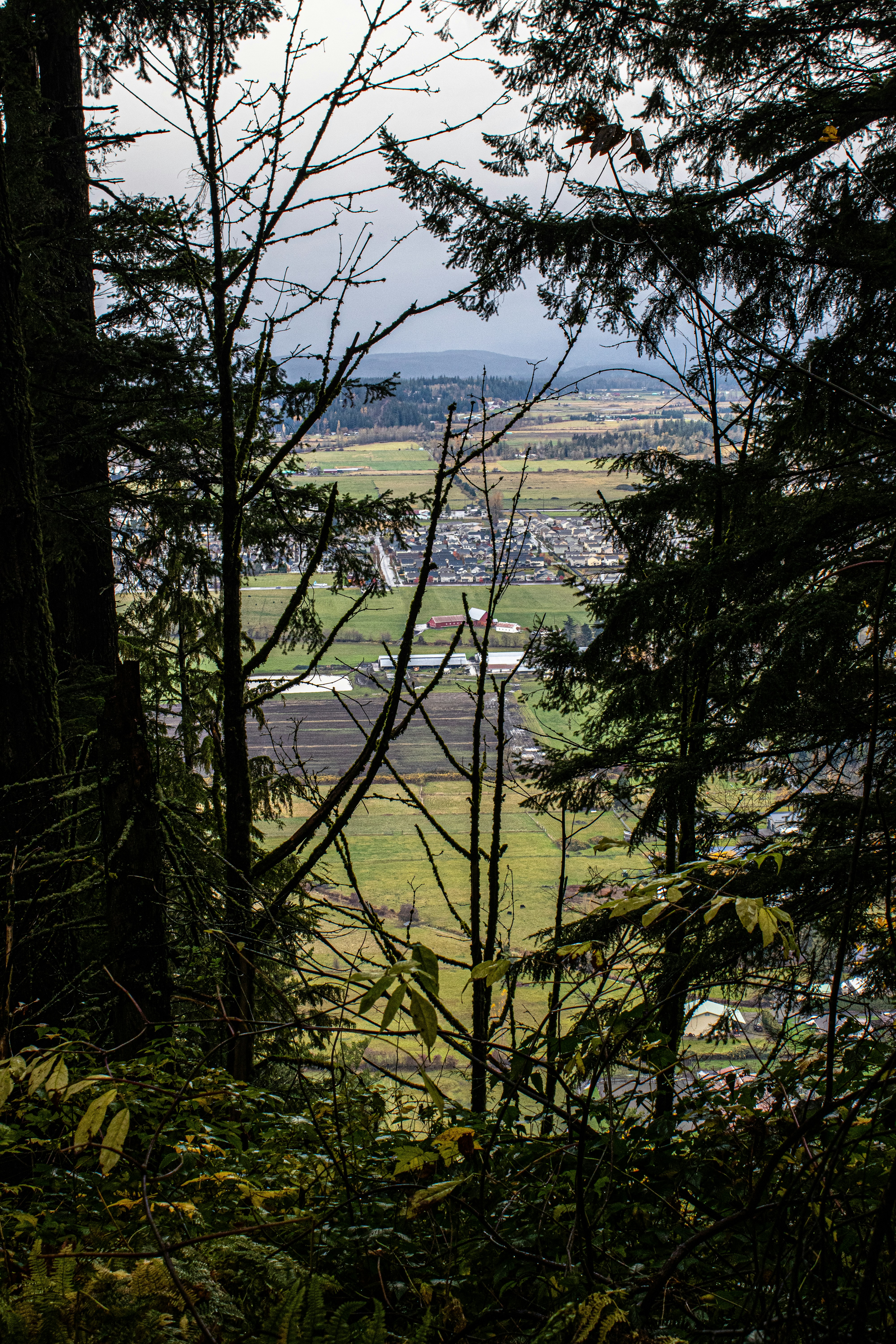 Photo by prphotography262