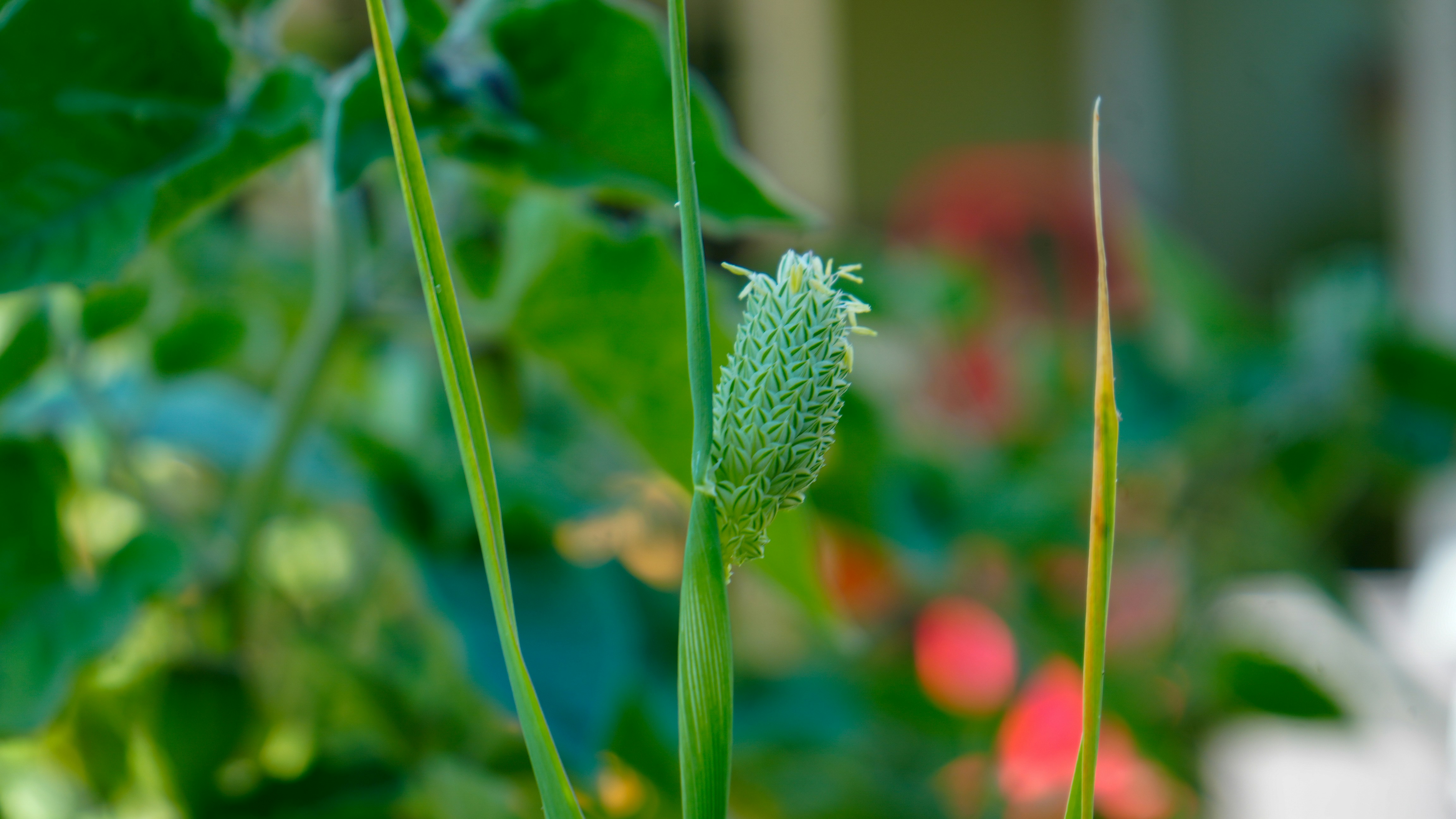 Photo by joeglasnerphoto