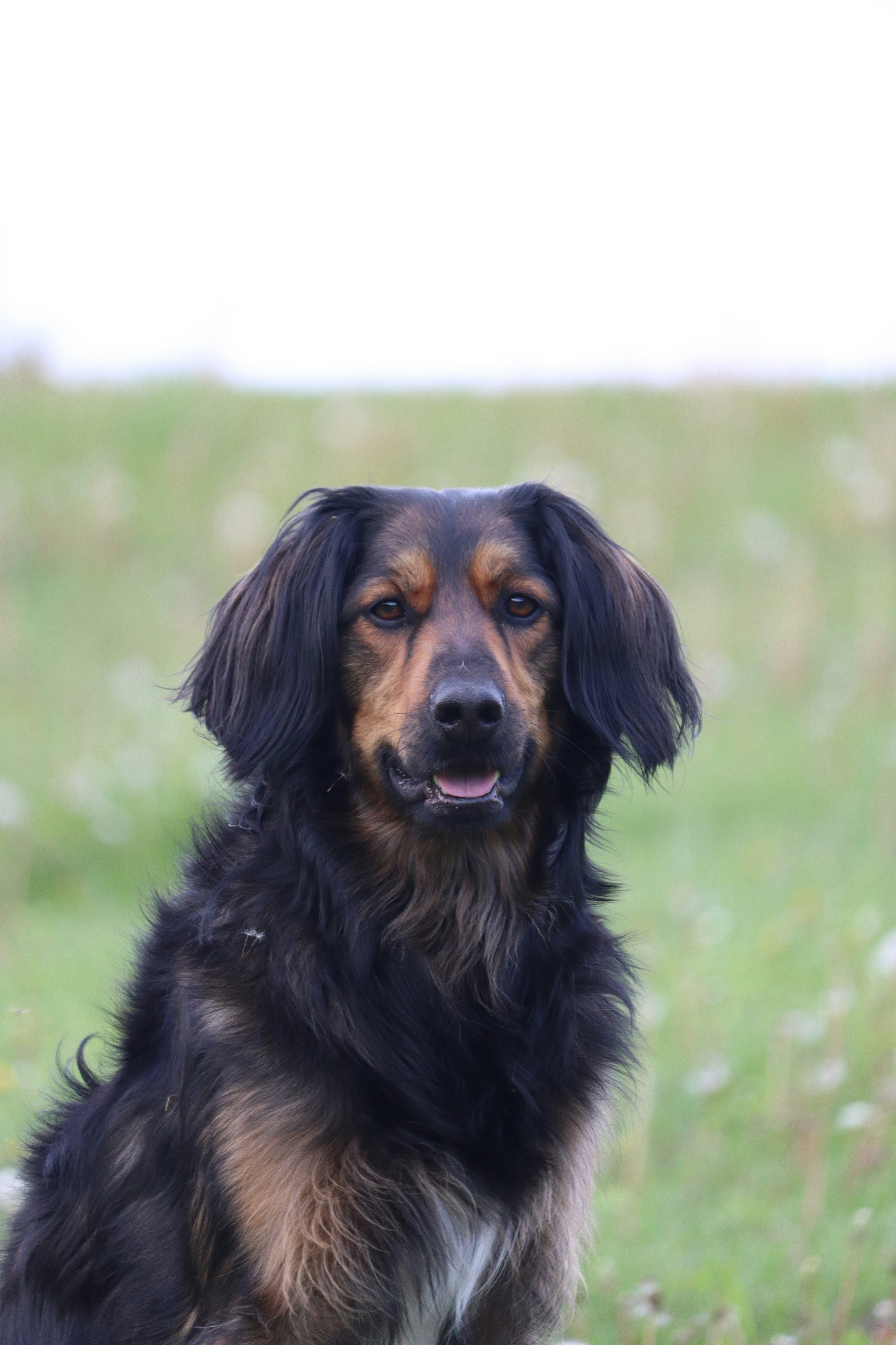 Photo by izzyatthelookout