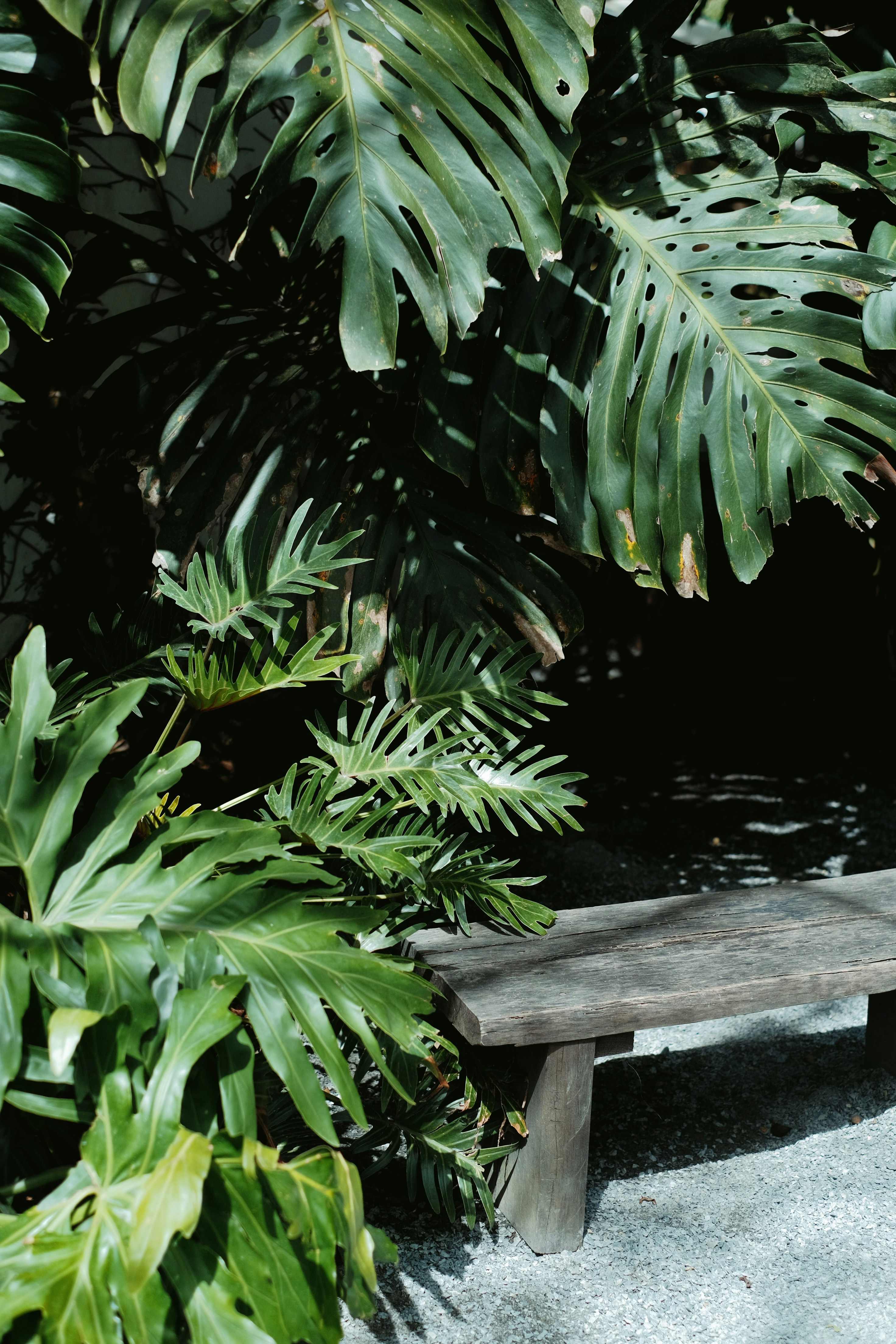 Photo by nguyentrungnguyen