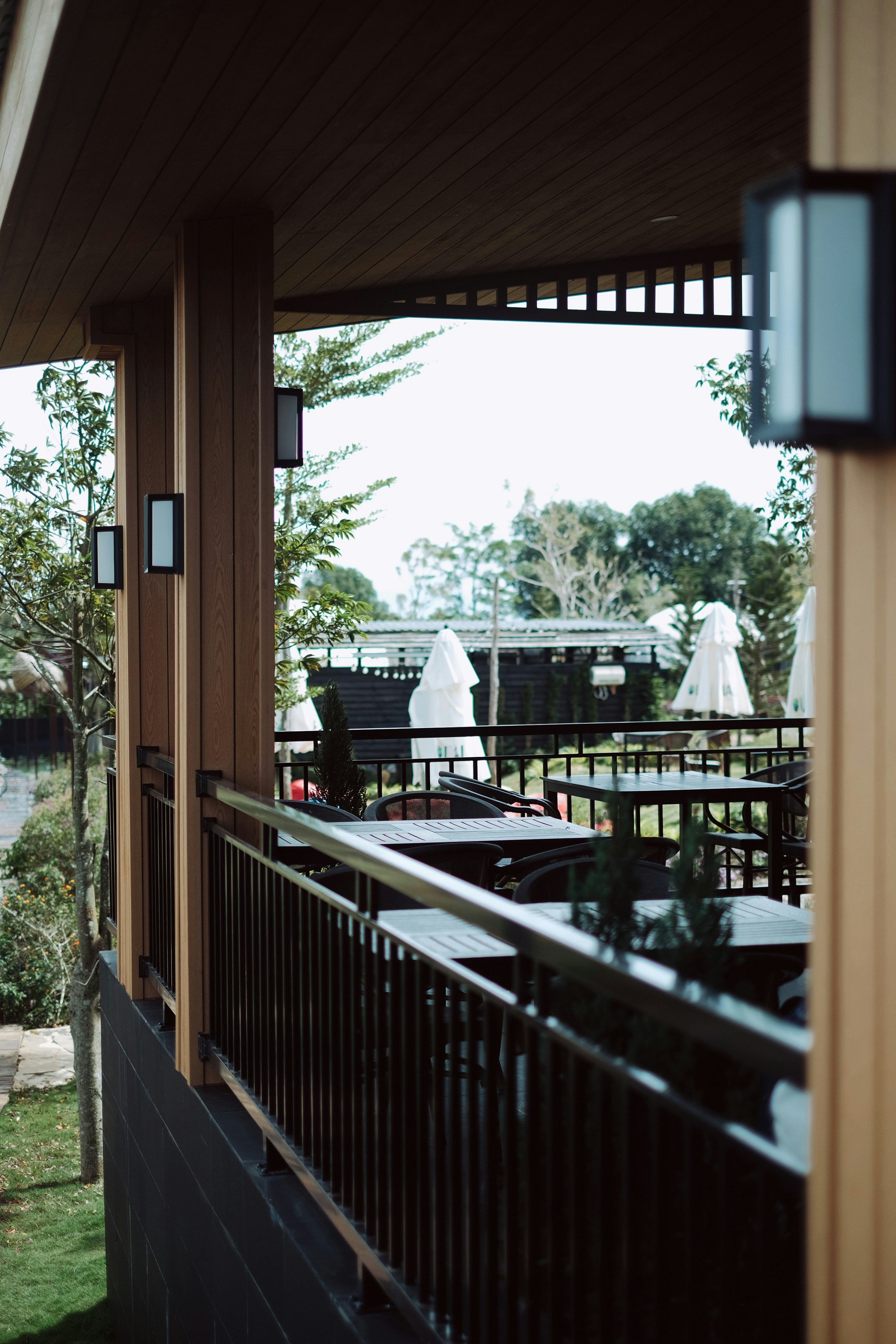 Photo by nguyentrungnguyen