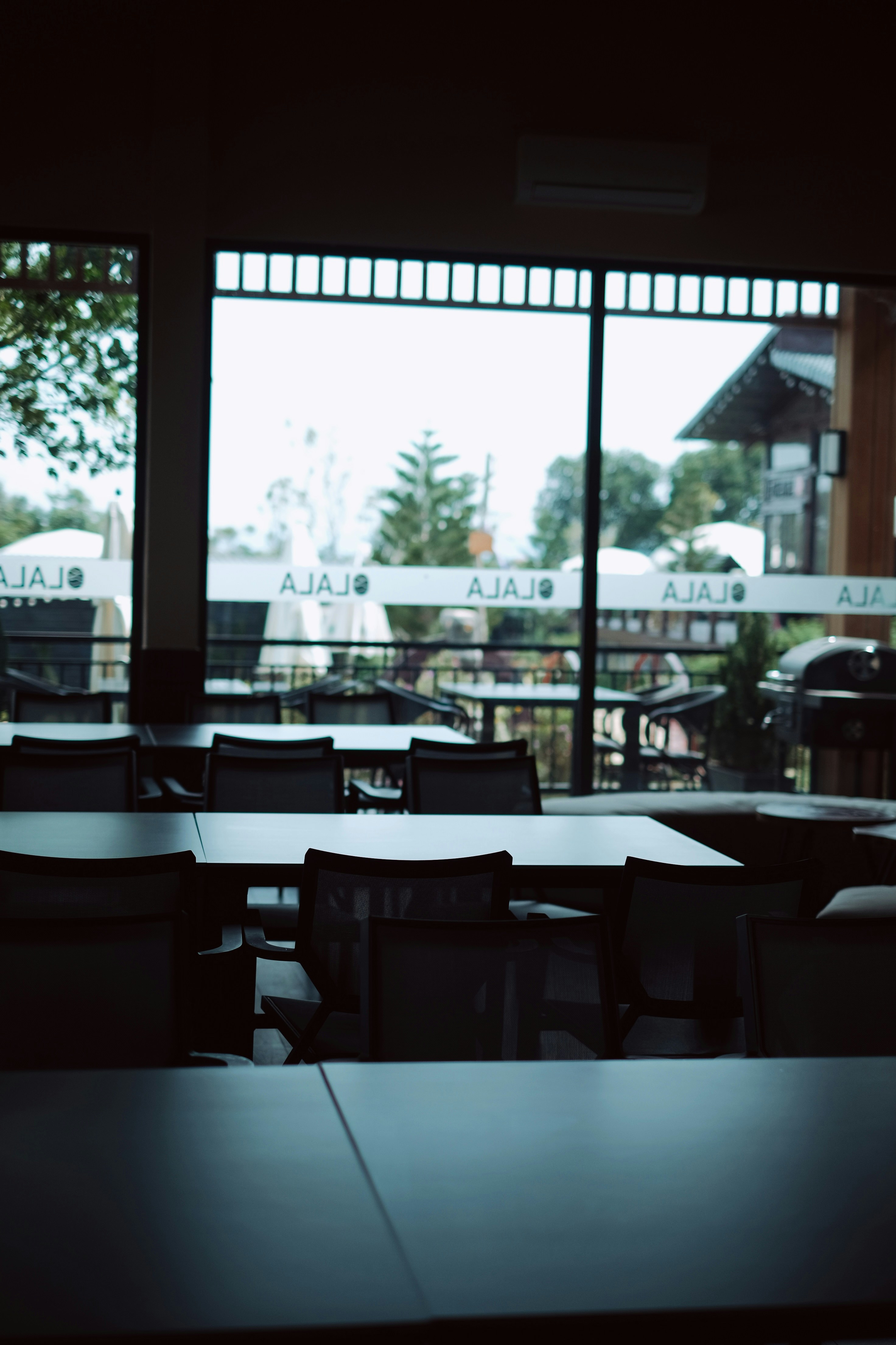 Photo by nguyentrungnguyen