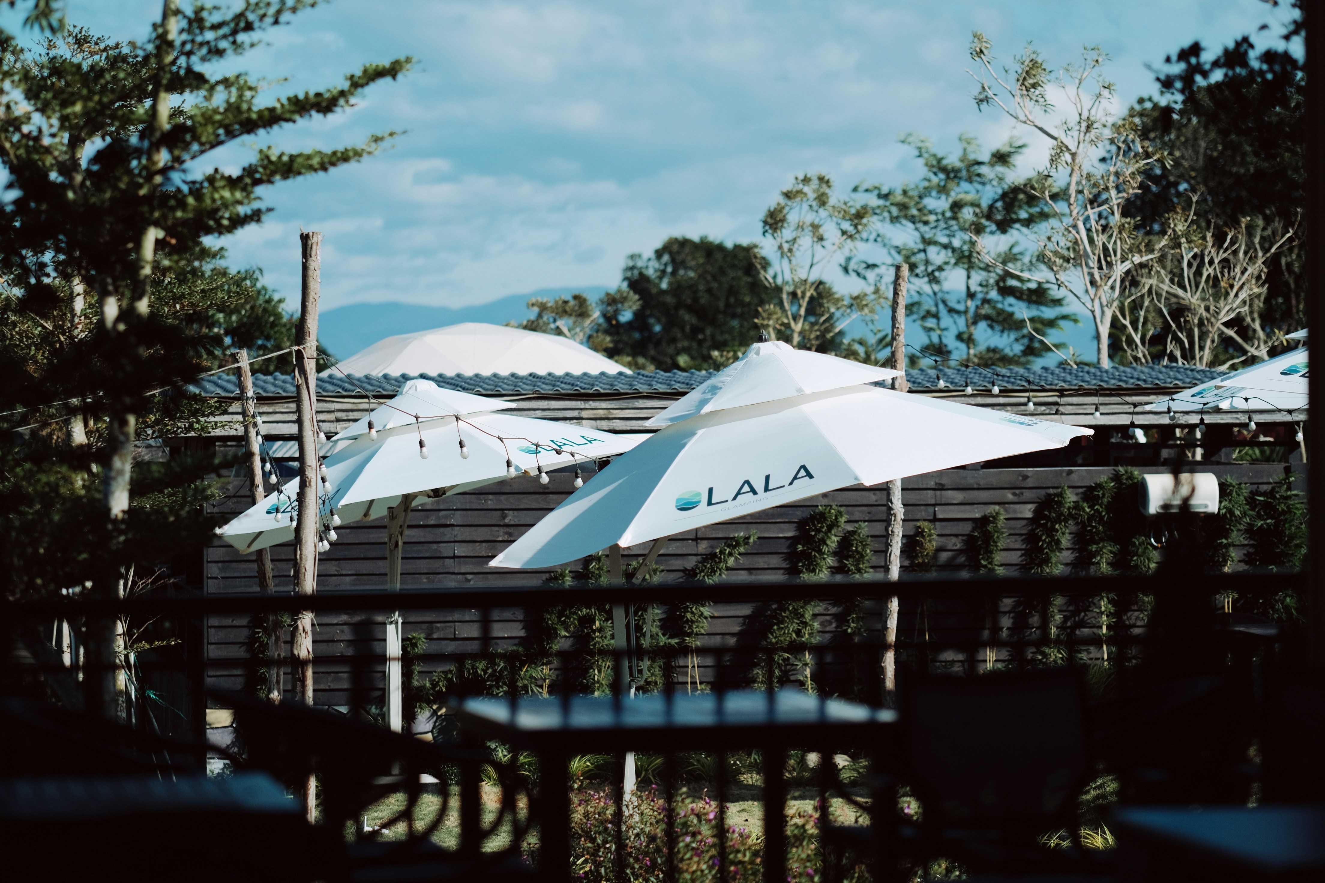 Talia's Cafe