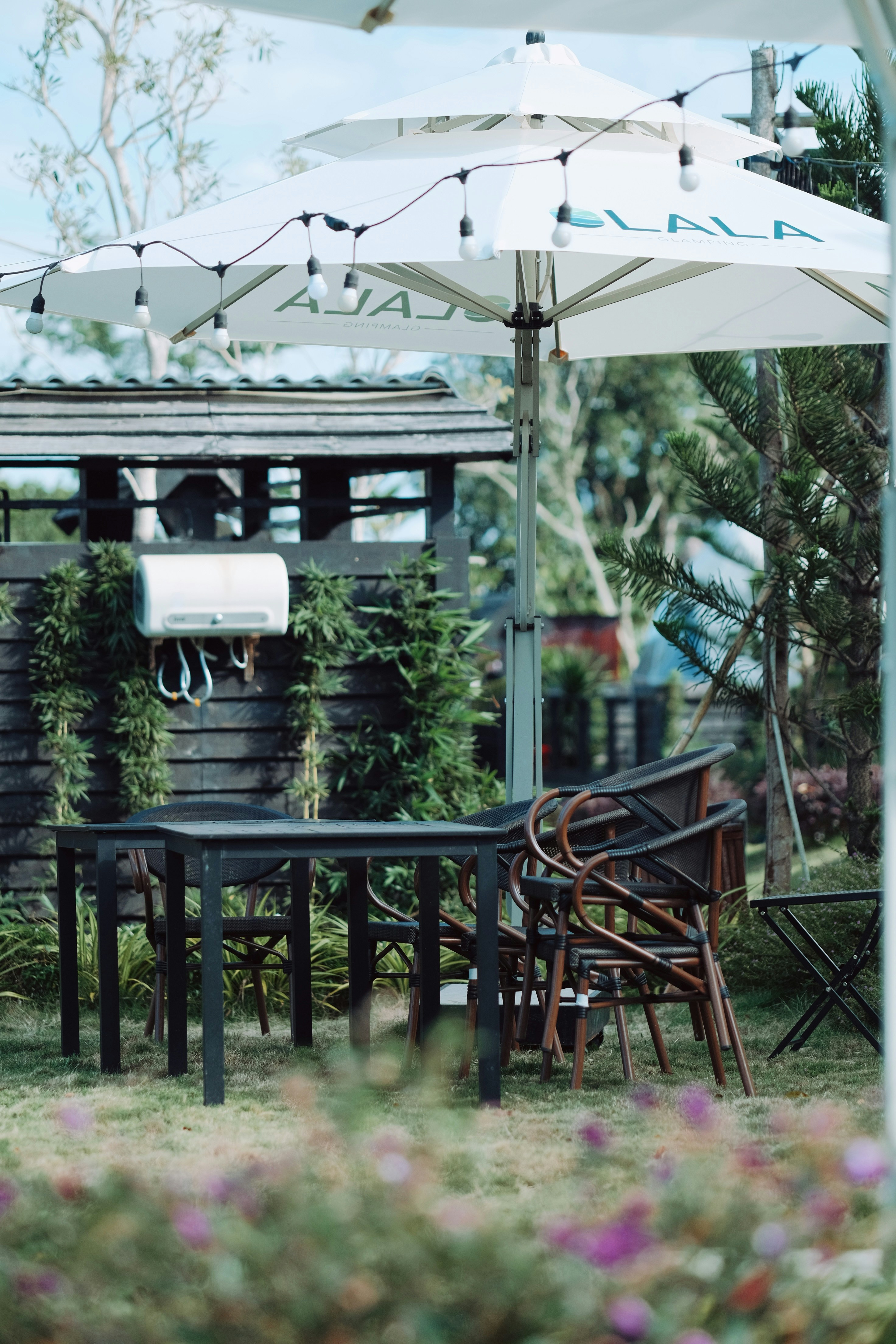 Photo by nguyentrungnguyen